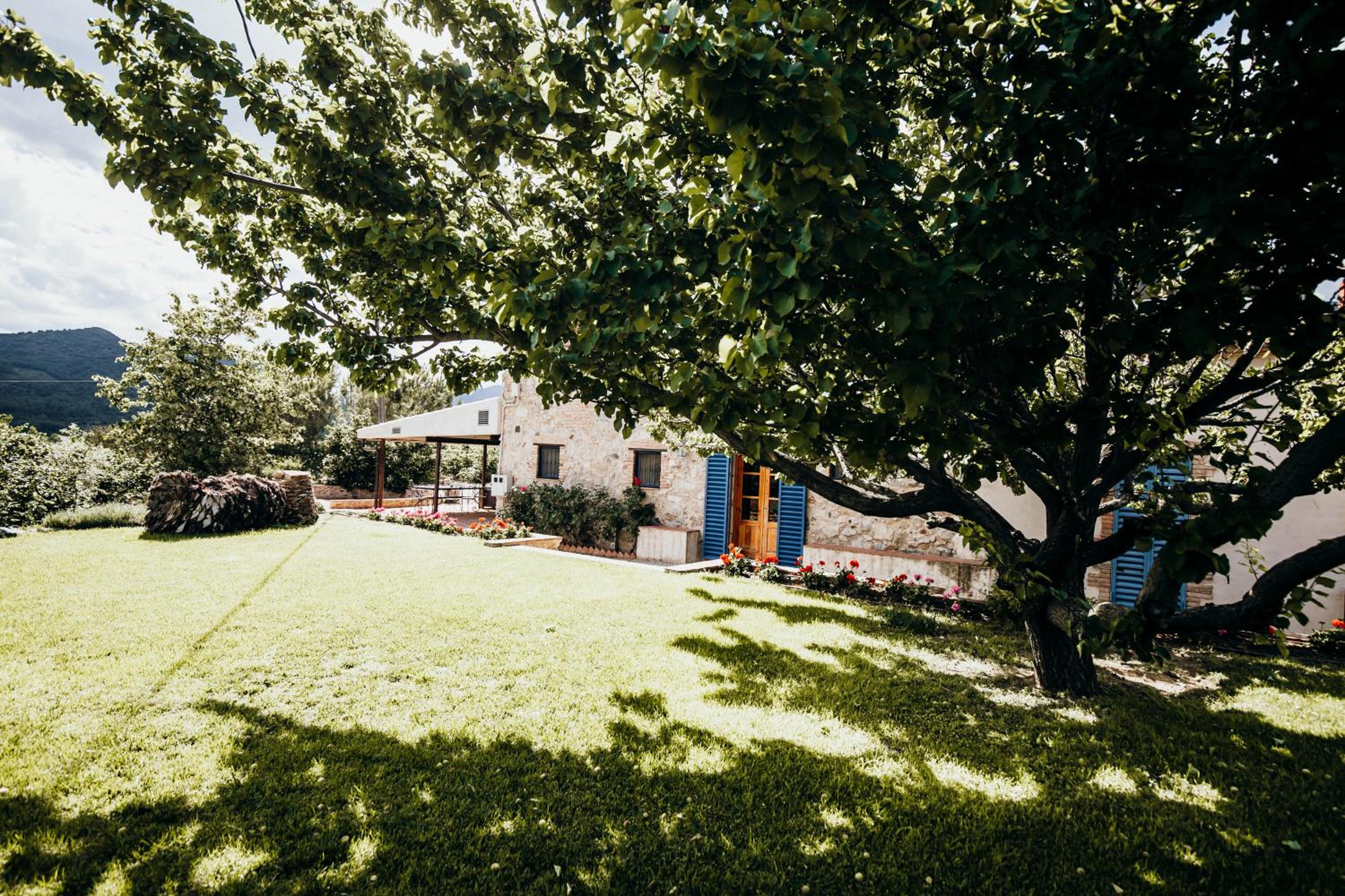 Photo 32