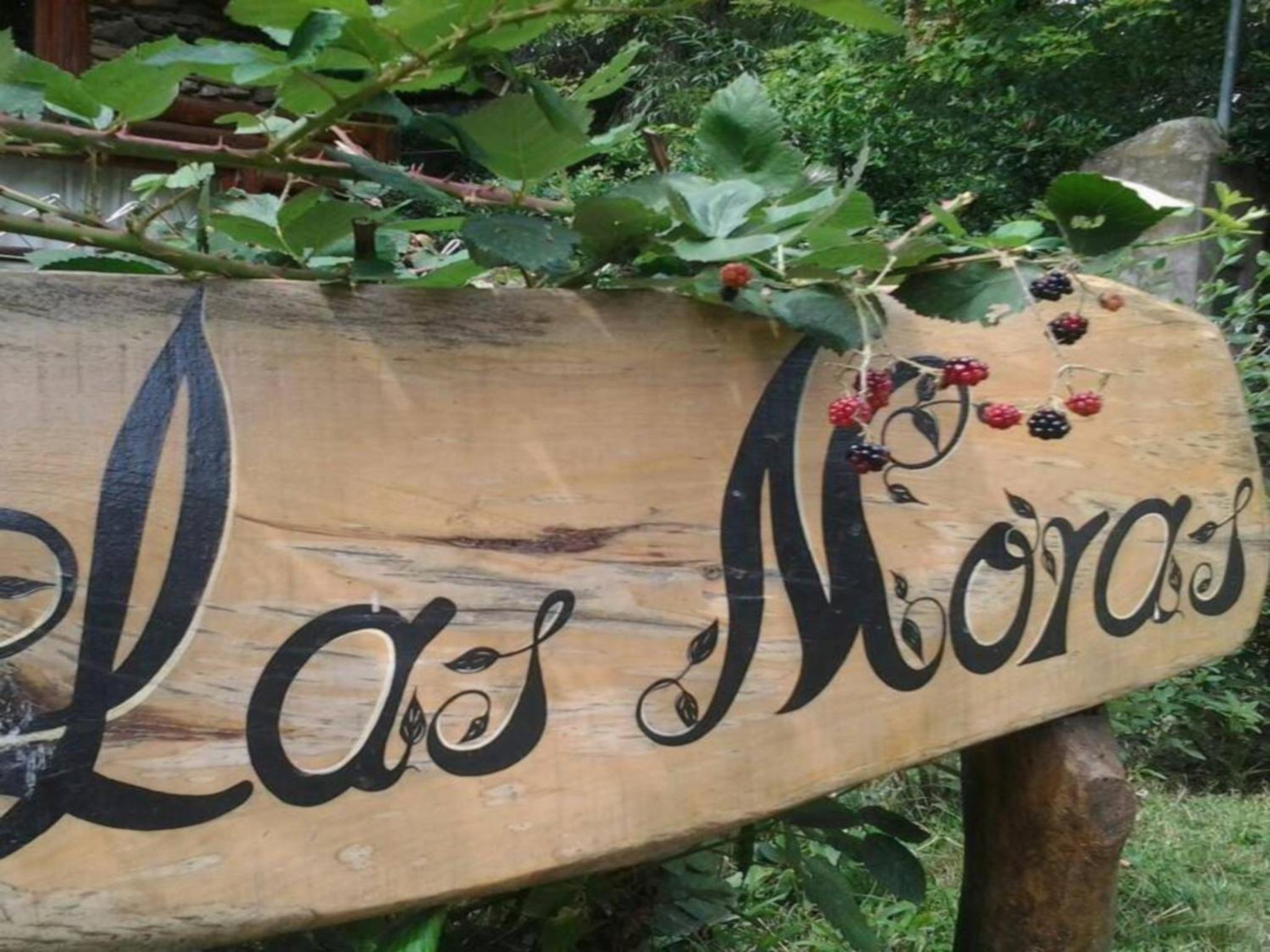 Cabañas Las Moras