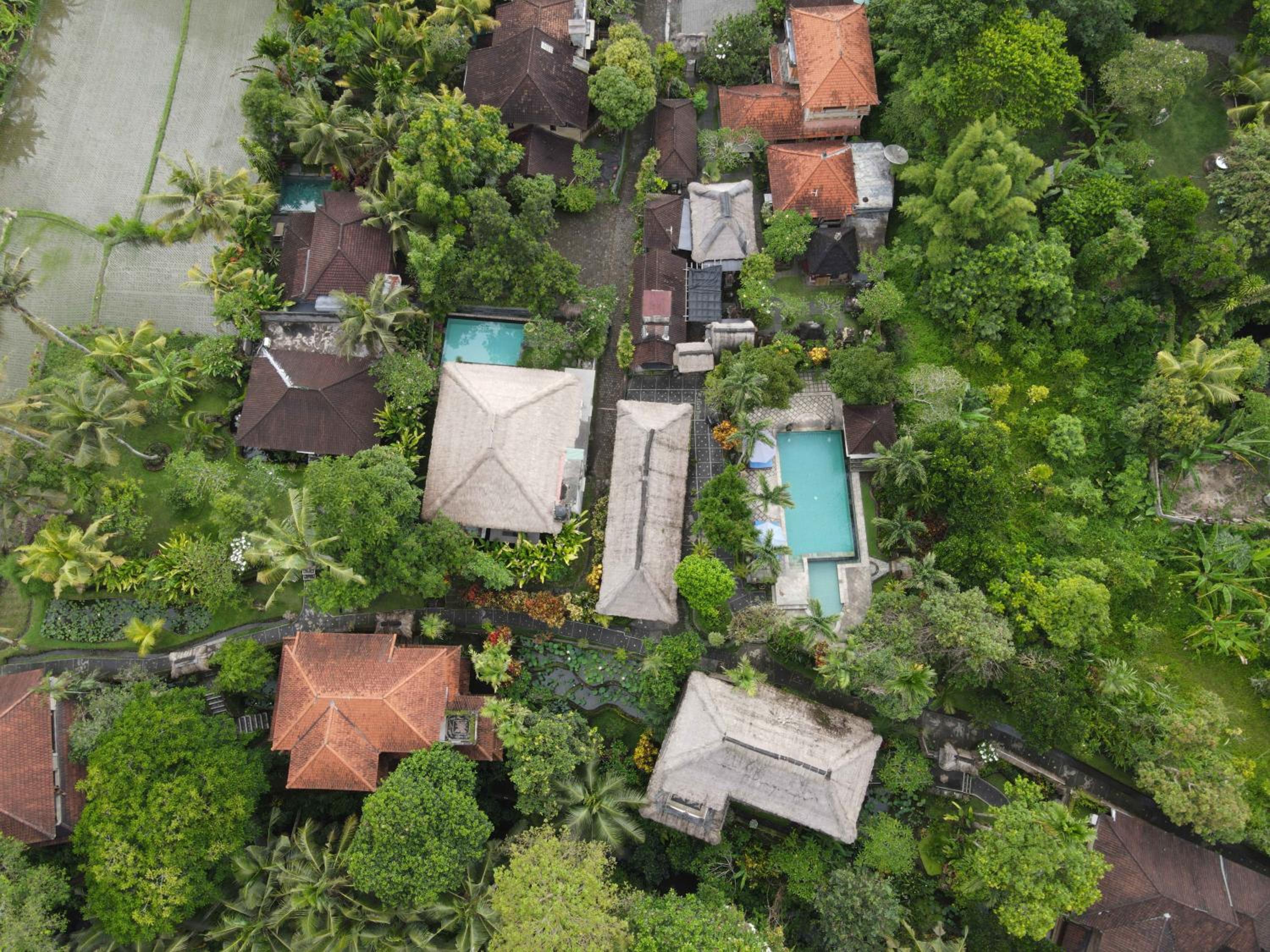 Alam Jiwa Ubud
