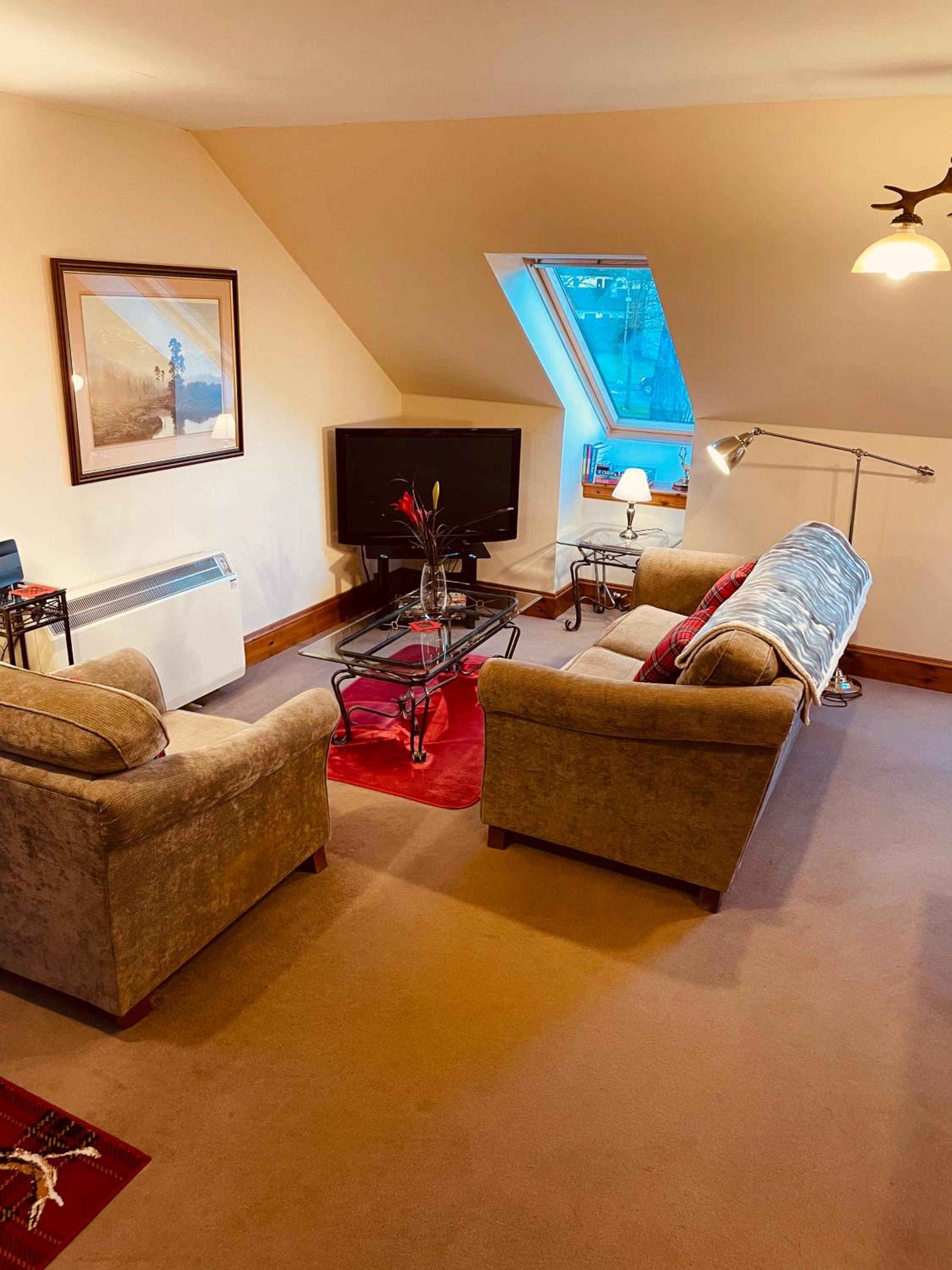 Red Stag Apartment view 5