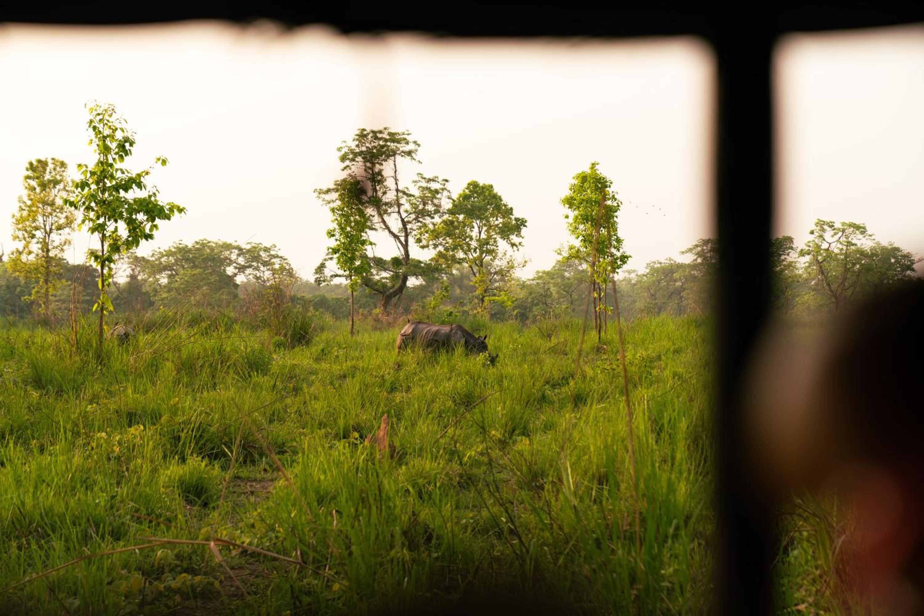 Kasara Chitwan