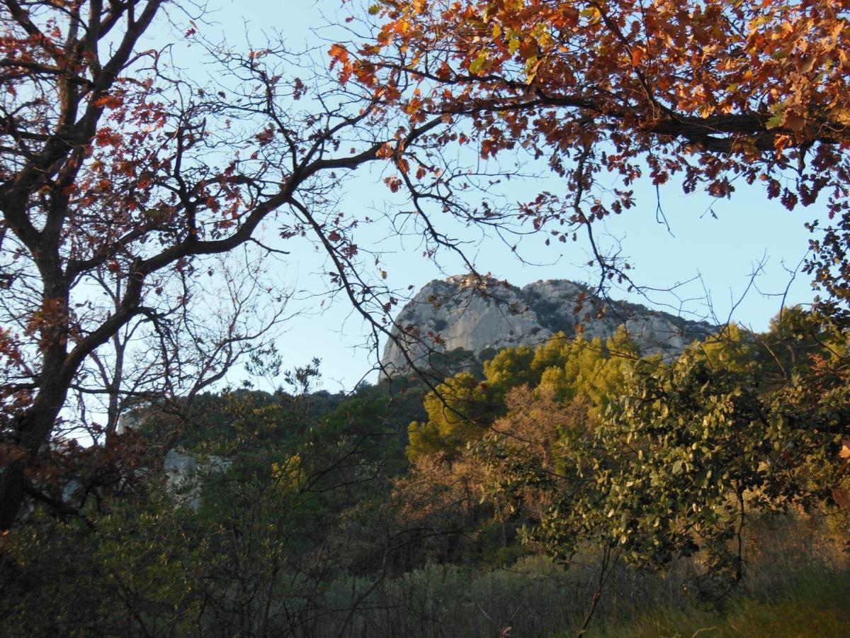 Domaine Lafayette - Property Image 41