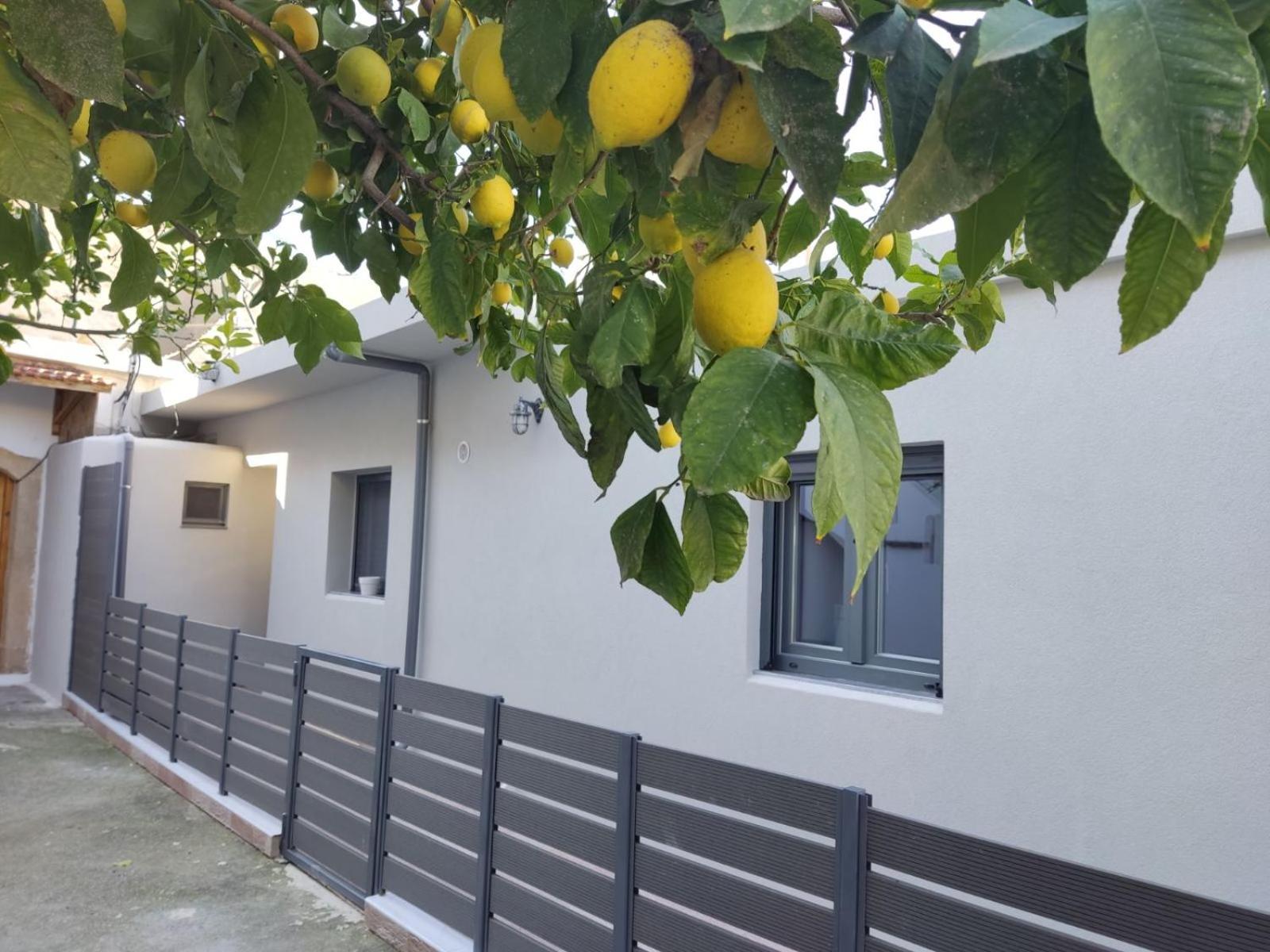 Irini's Home - Pitsidia view 4