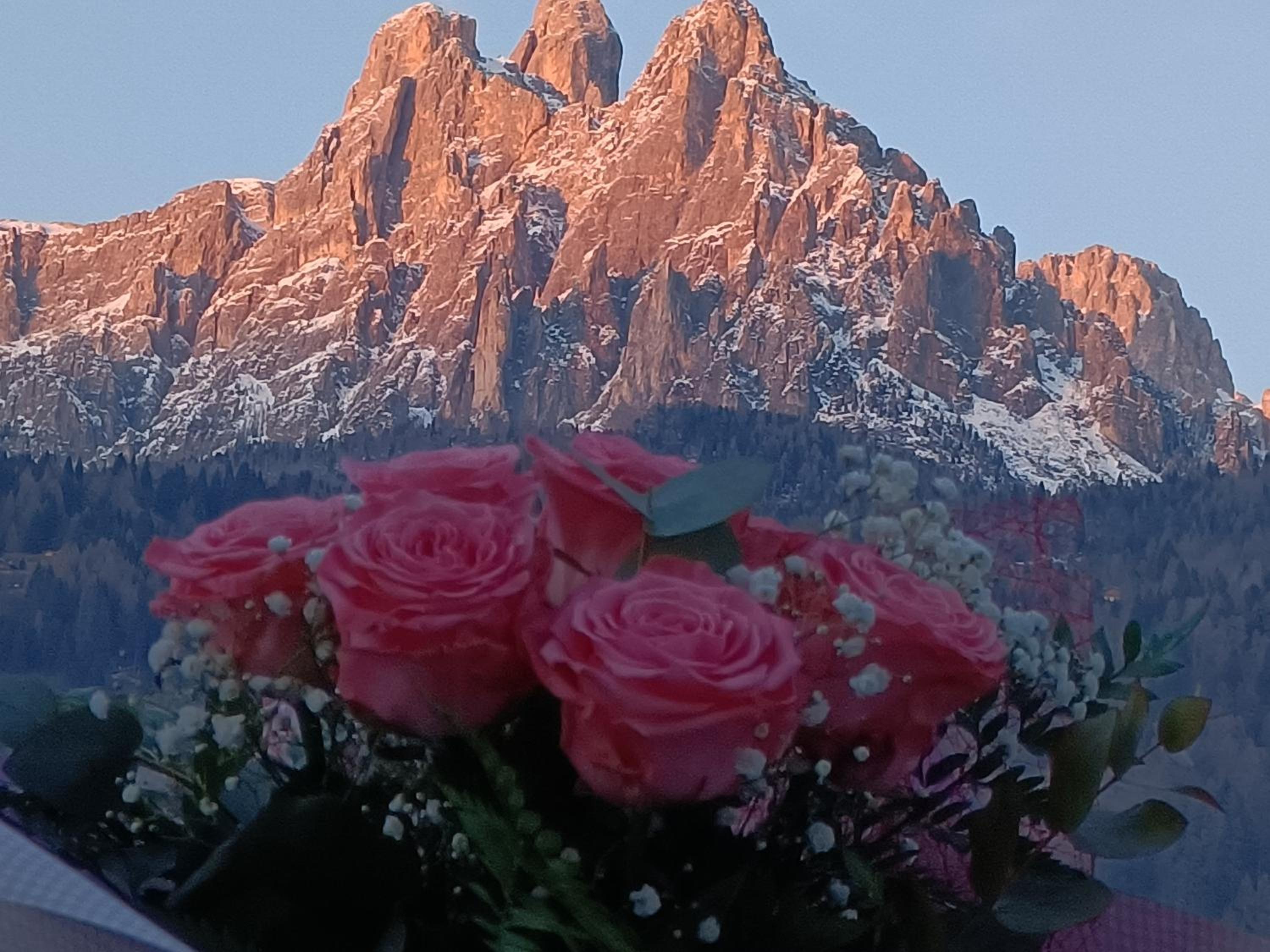 Appartamenti Primiero view 3