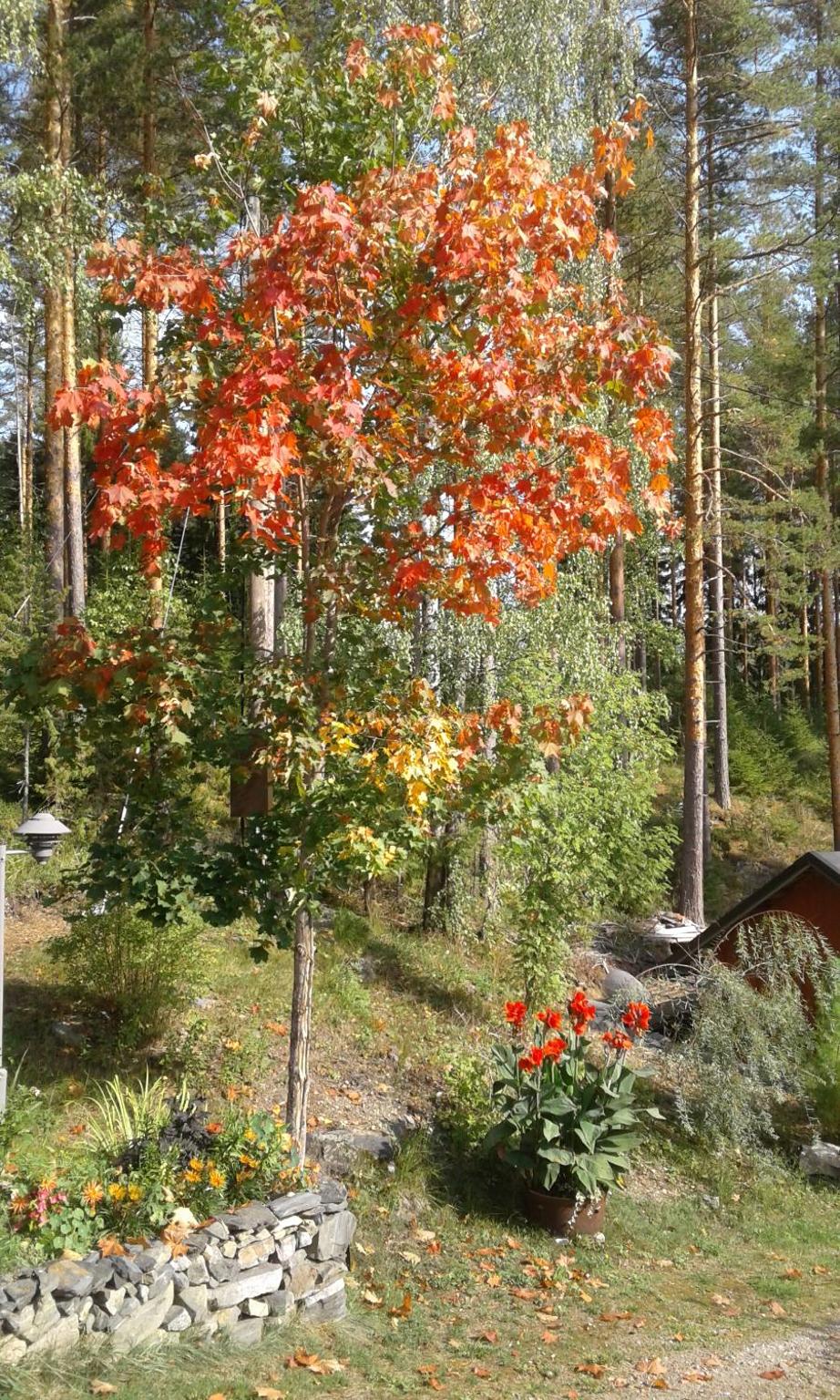 Photo 13