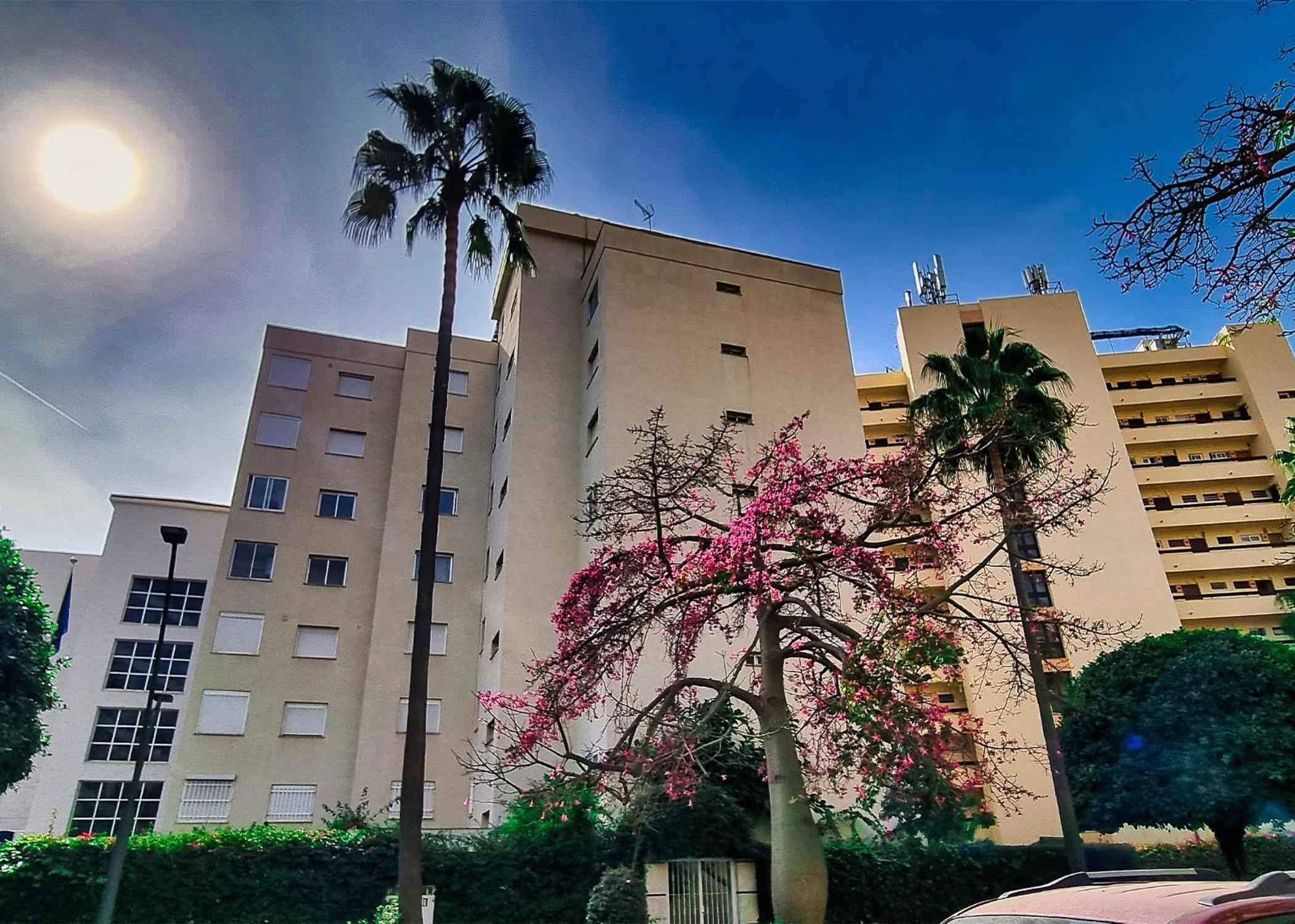 Magnificent One Bedroom Apartment in Marbella Center