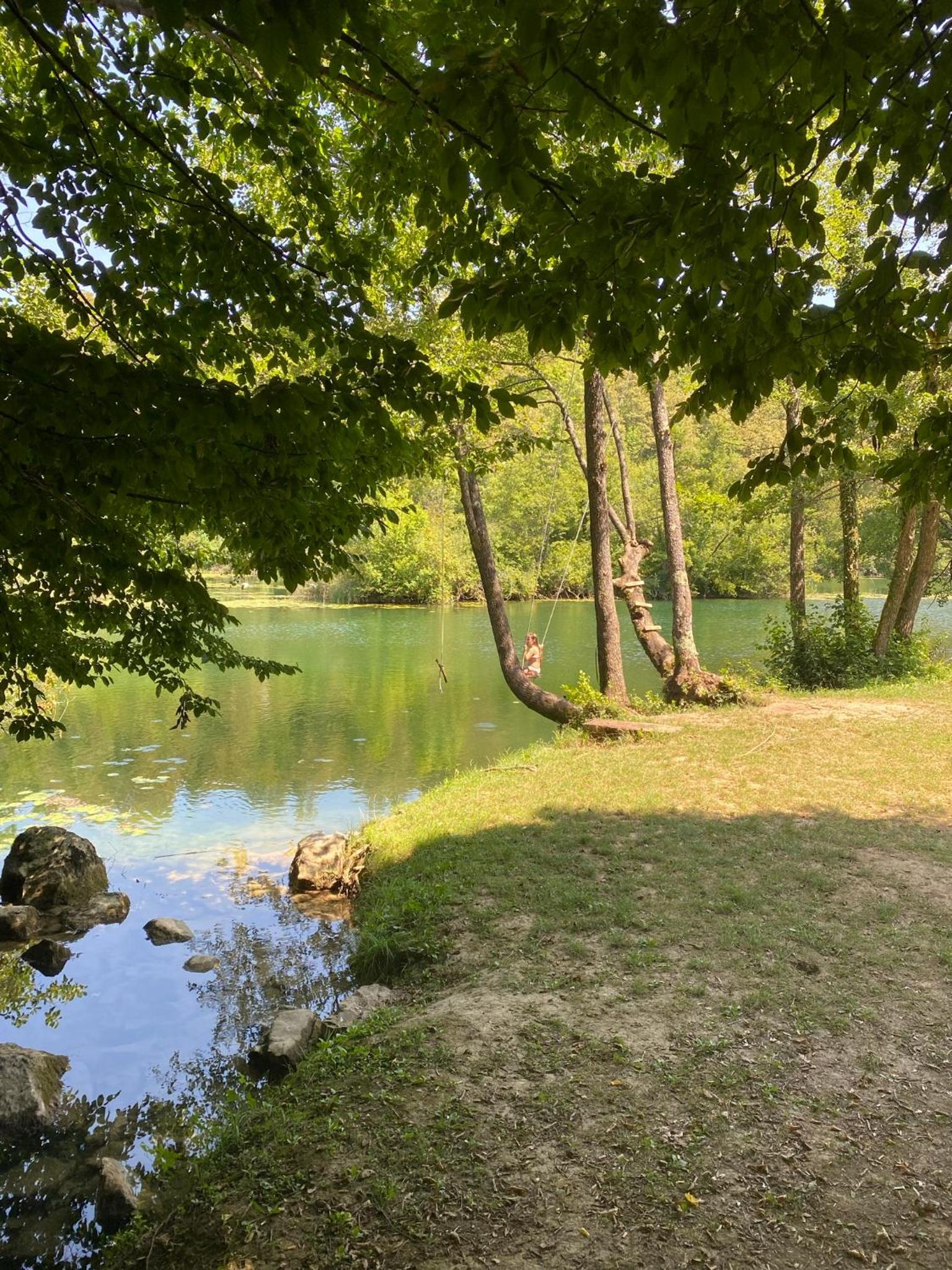 Photo 21