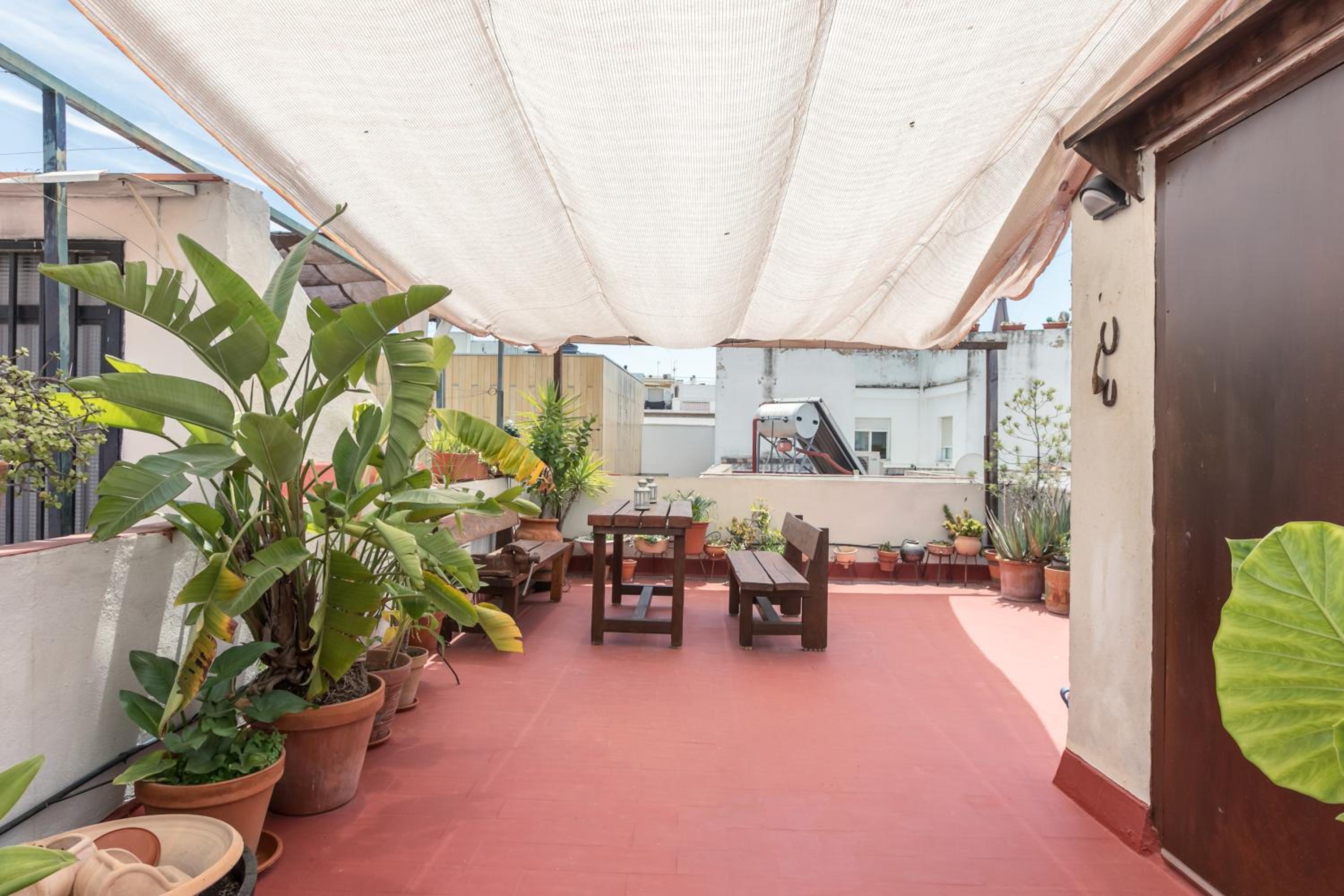 roof
