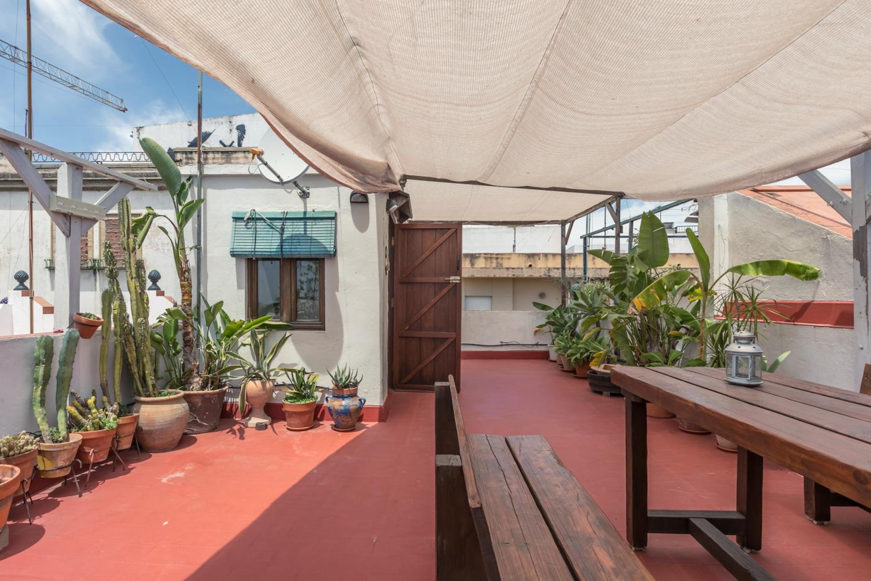 roof