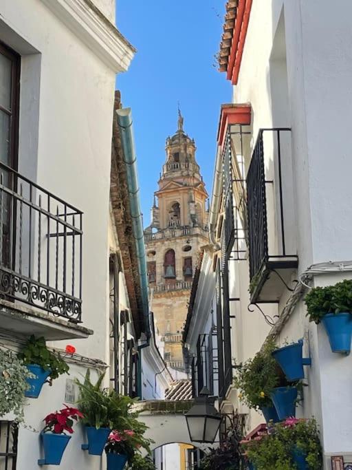 Apartamento El Rincón de la Verdad