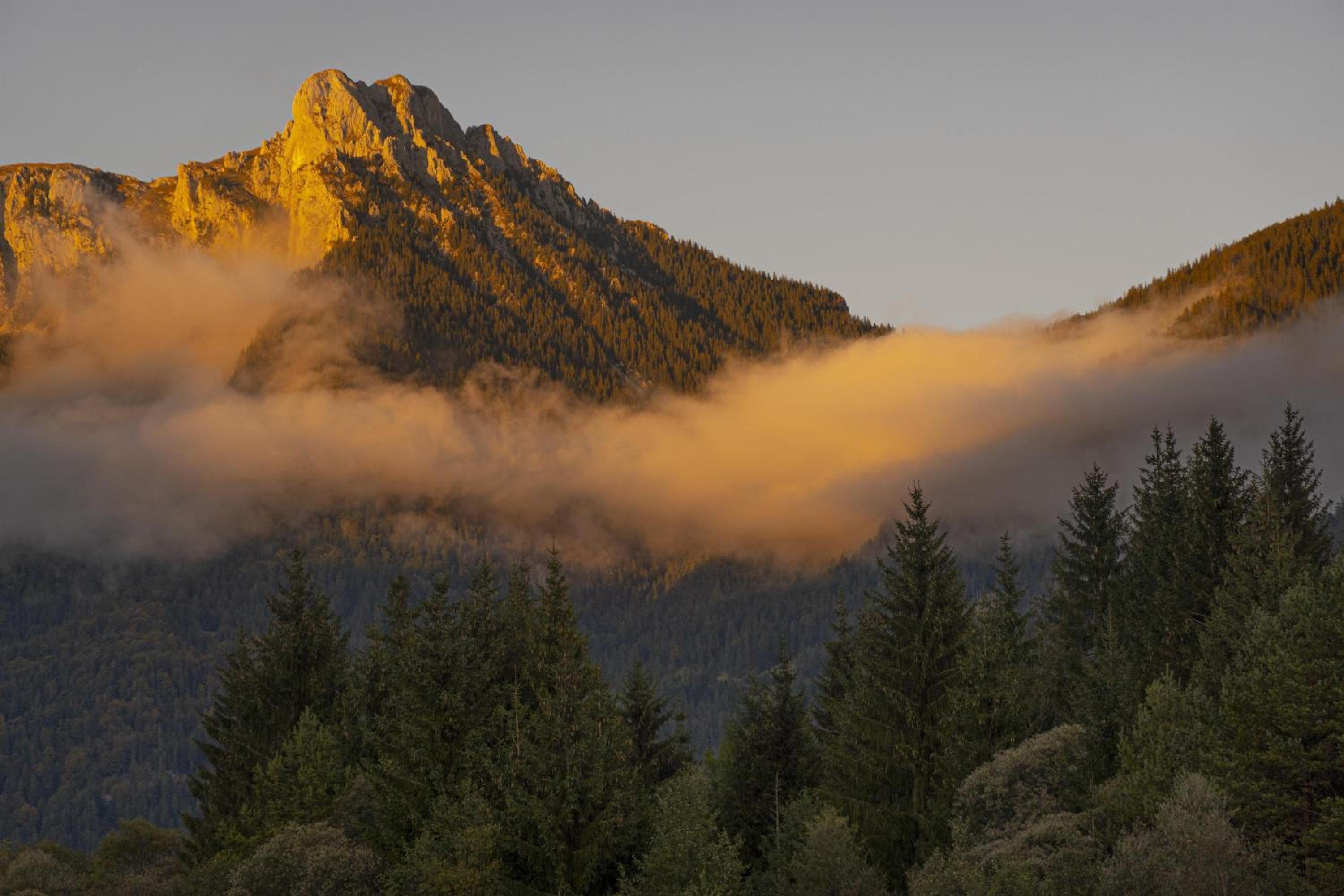 GORI Boutique Apartments – Tirol