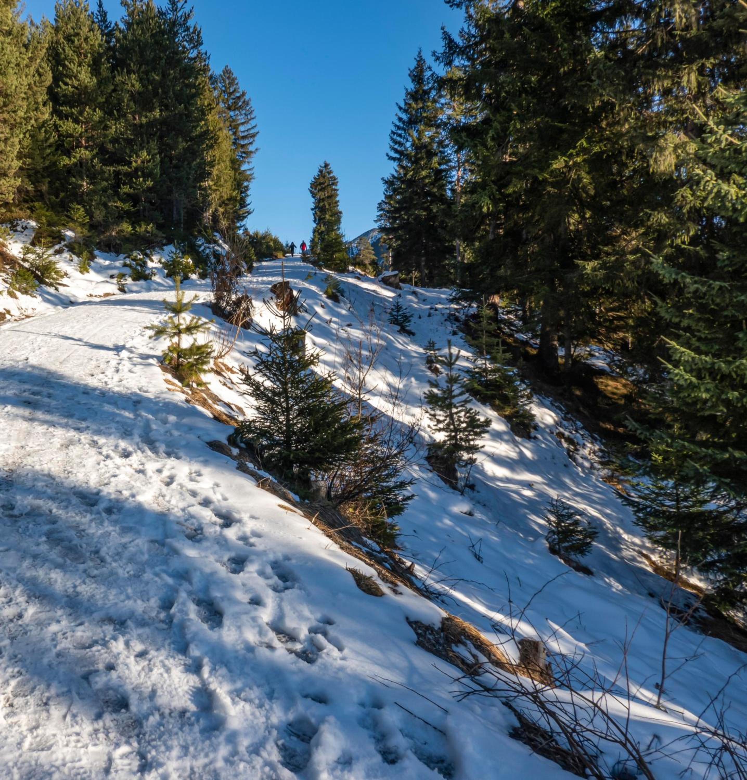GORI Boutique Apartments – Tirol