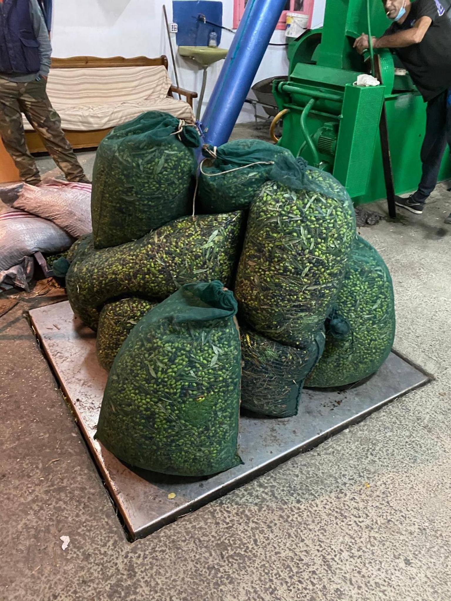 Anna Studios photo 5