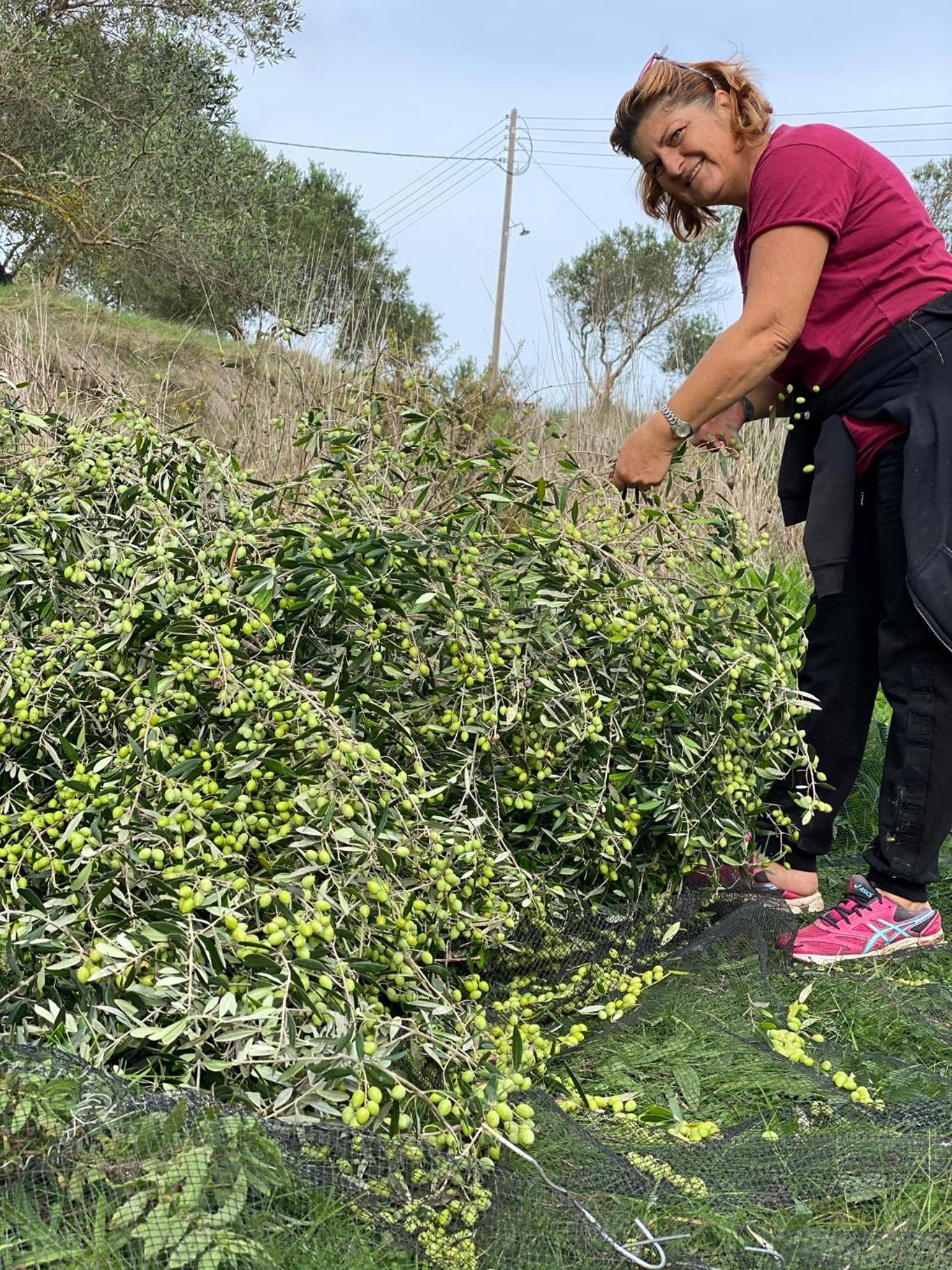 Anna Studios photo 3