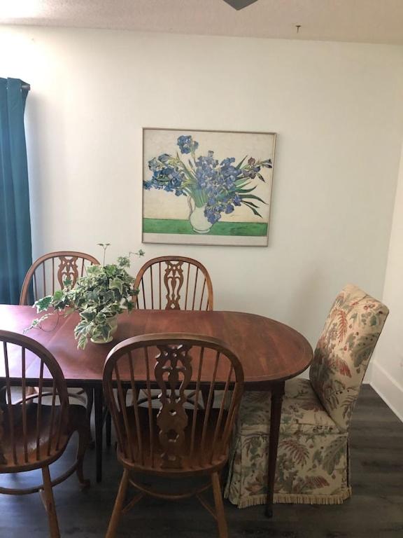 Luxurious indoor/outdoor Family Paradise in downtown St Augustine view 5