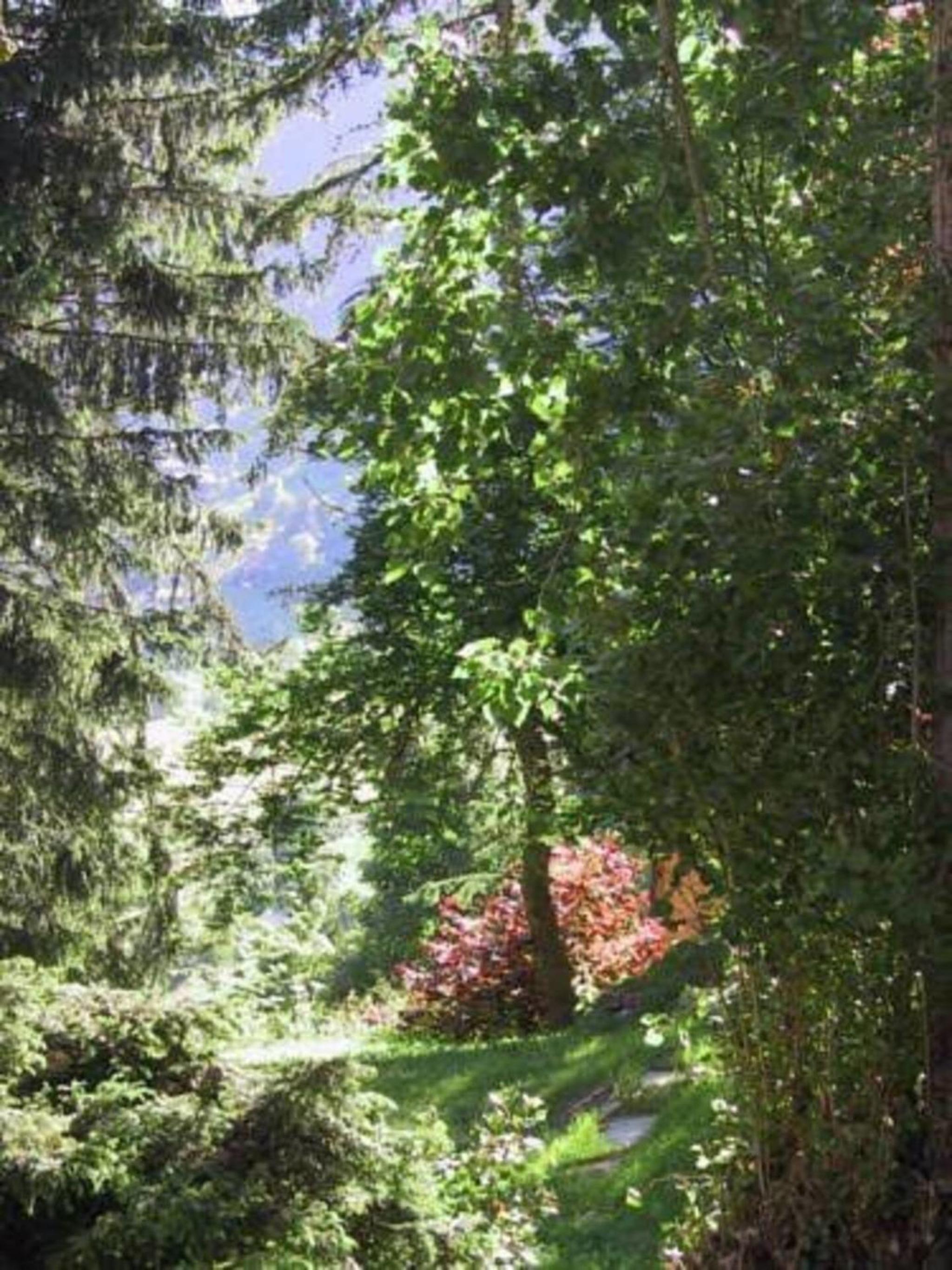 Chalet MAZOT ein umgebauter alter Kornspeicher view 3
