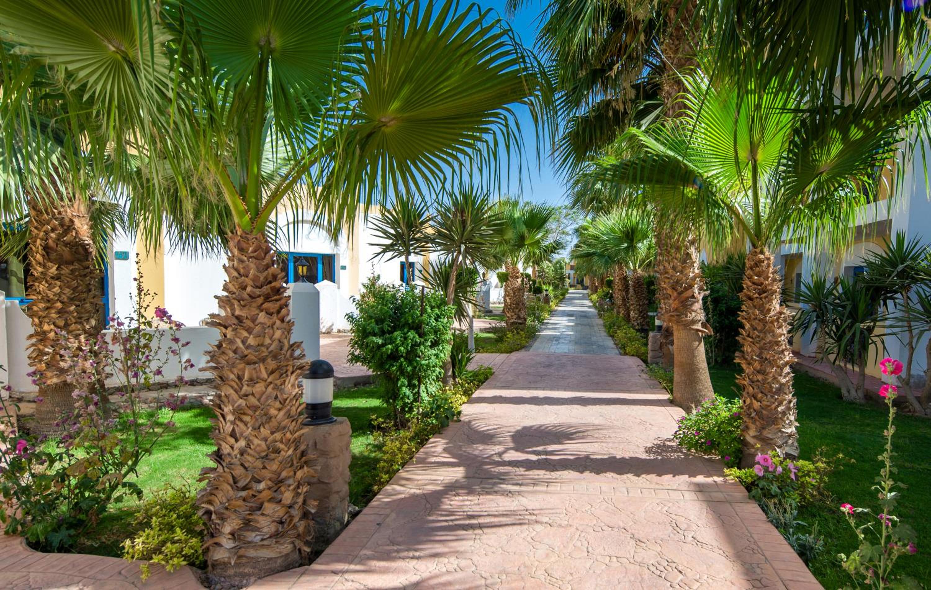 Mirage Bay Resort & Aqua Park view 4