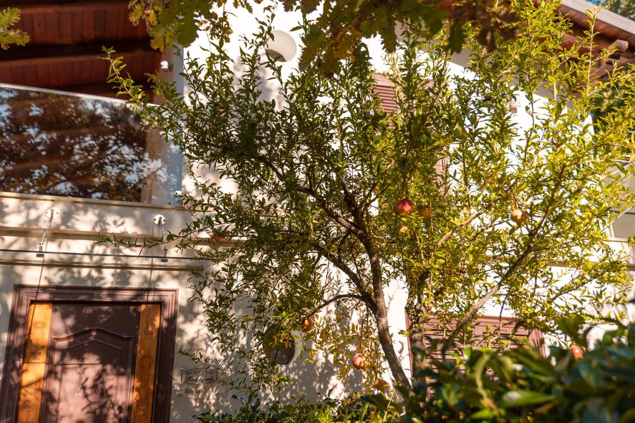 Villa Chiara view 5