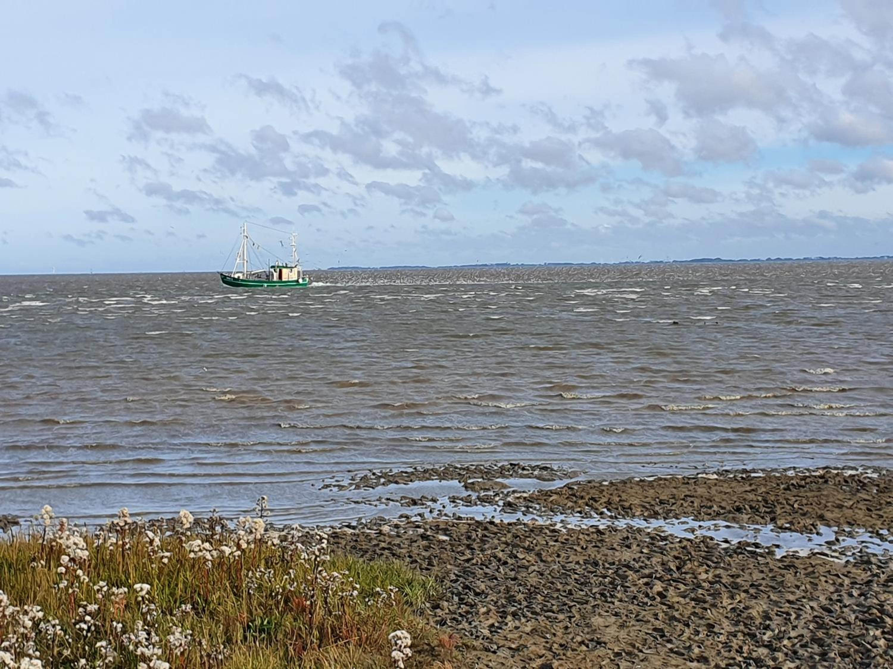 Ferienhaus an der Nordsee - familienfreundlich, gut ausgestattet & viel Platz