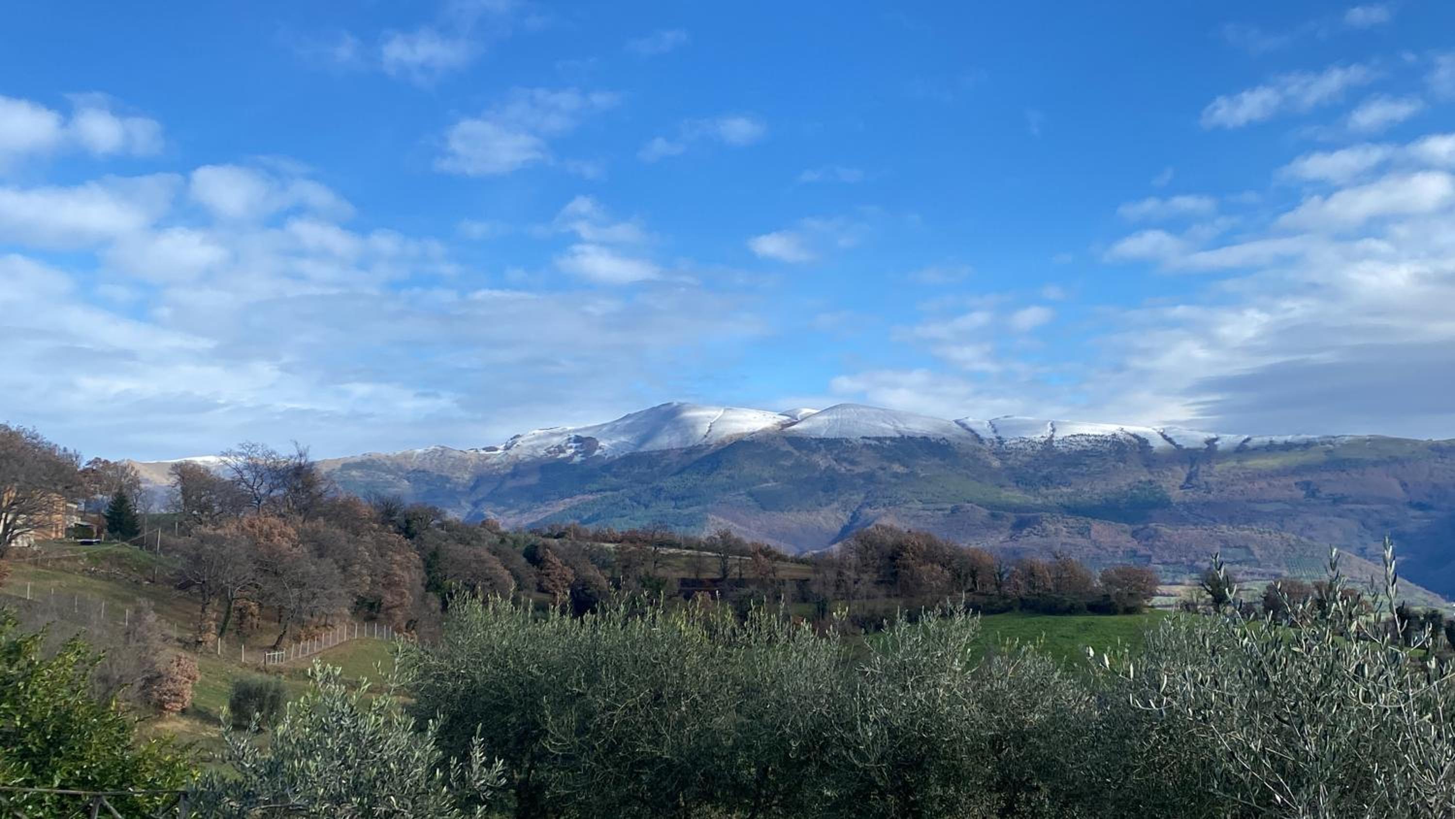 Casa vacanze fra gli ulivi