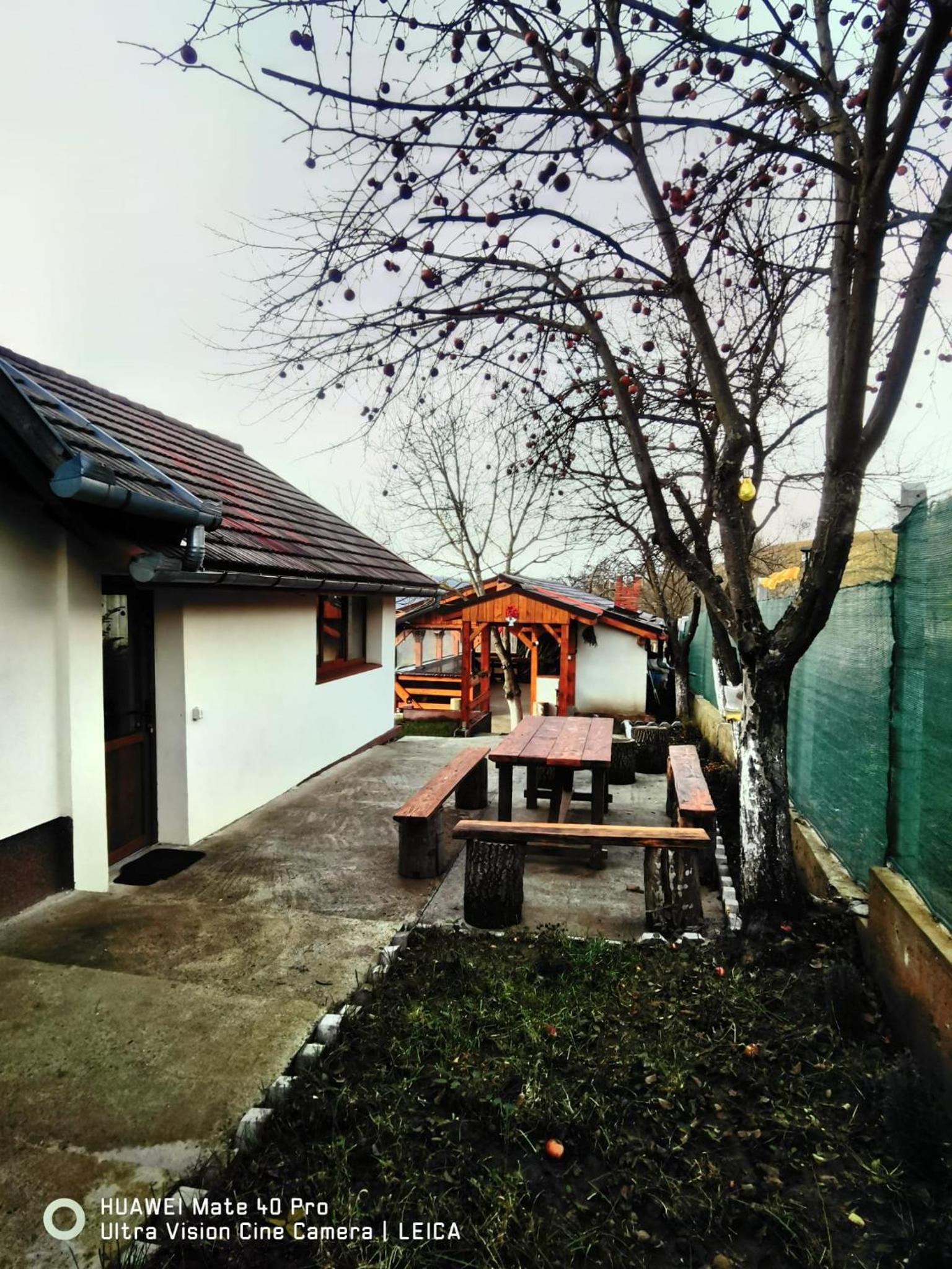 Photo 33