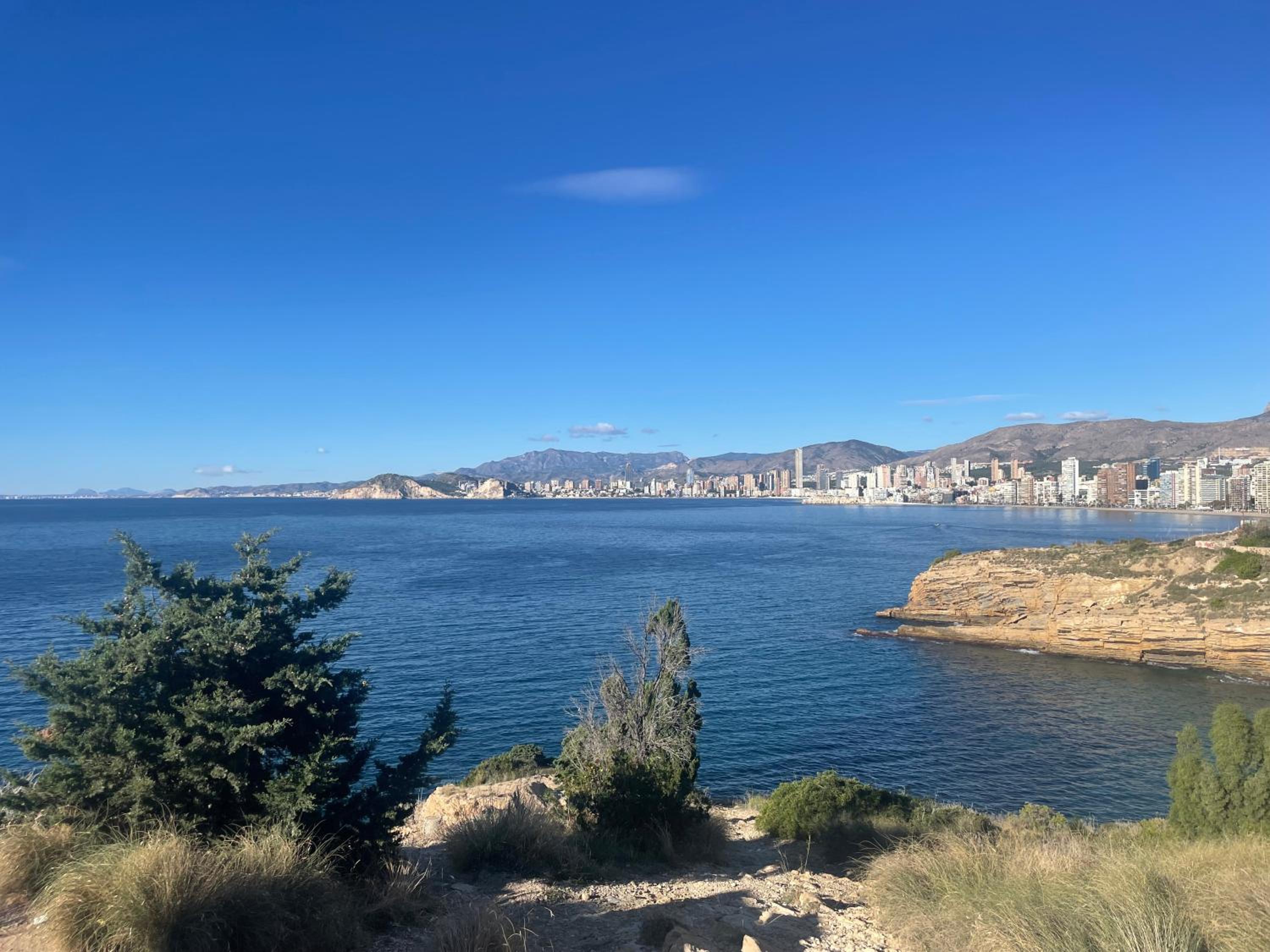 BLUE MARIN BENIDORM photo 3