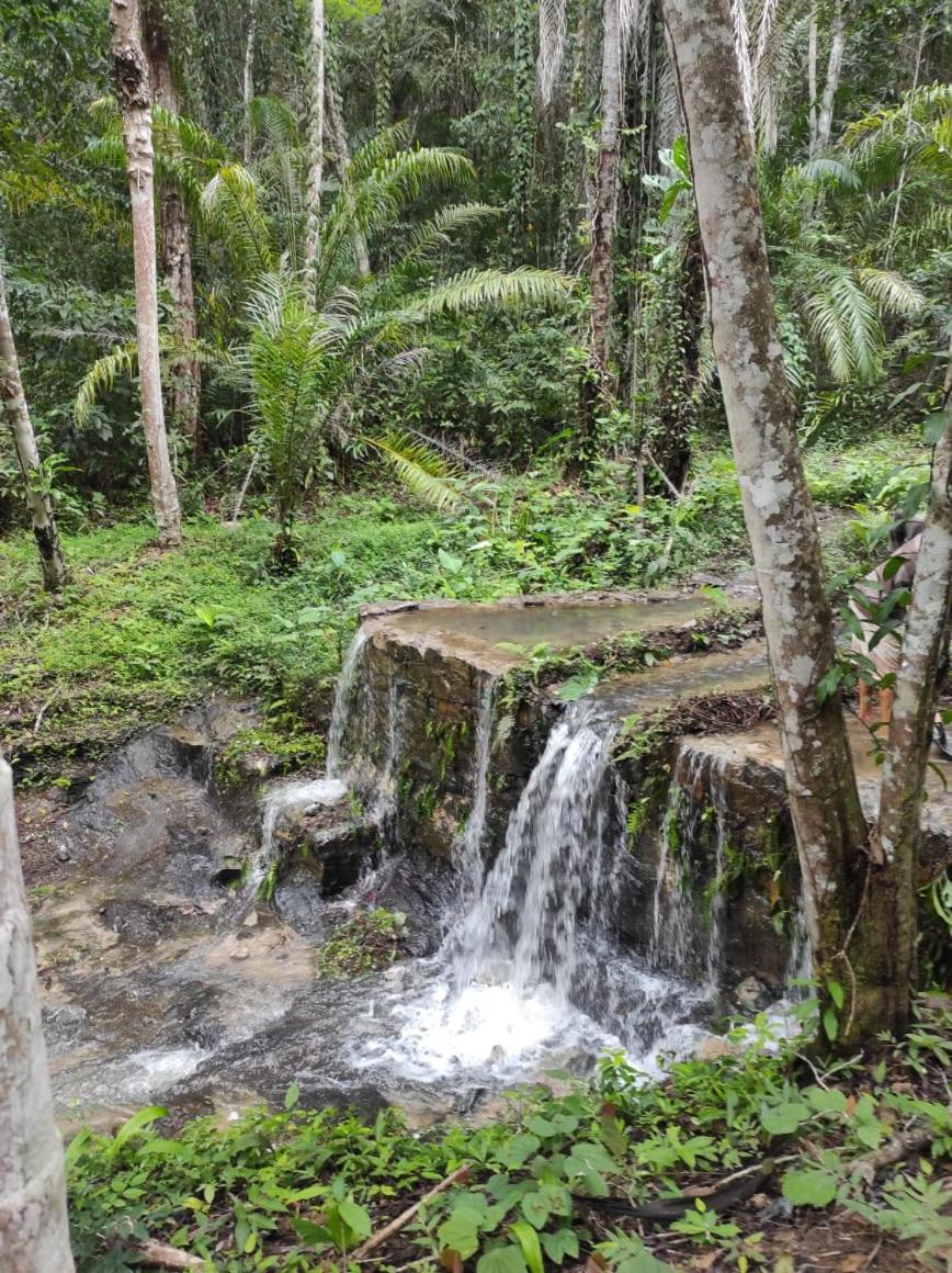 Chalés da Floresta