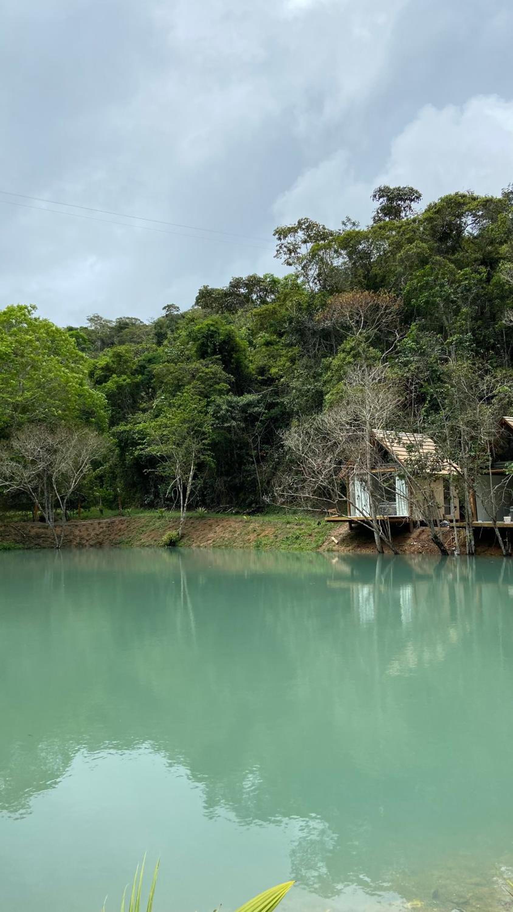 Chalés da Floresta