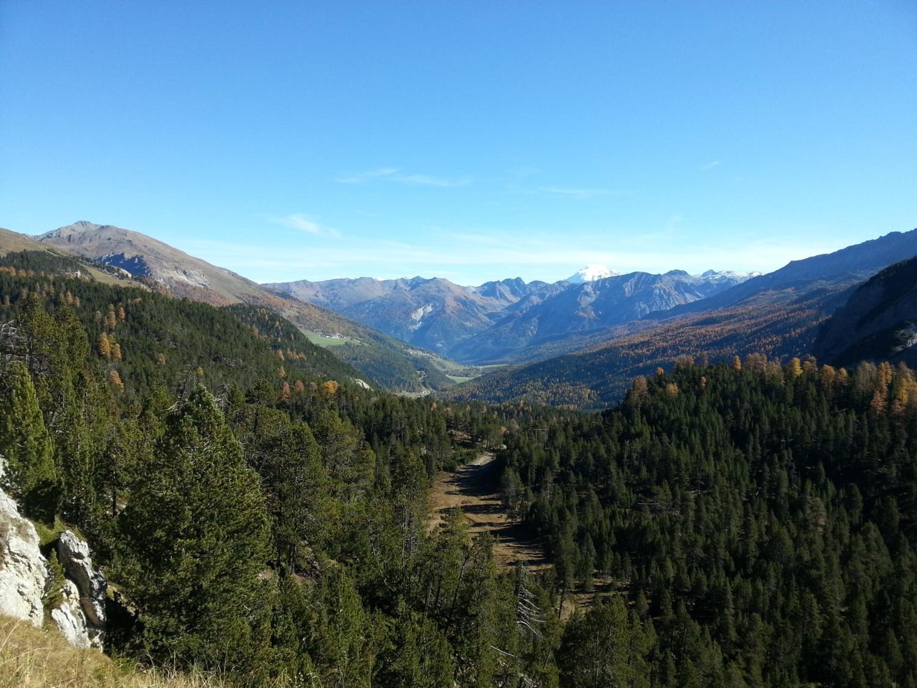 Photo 16