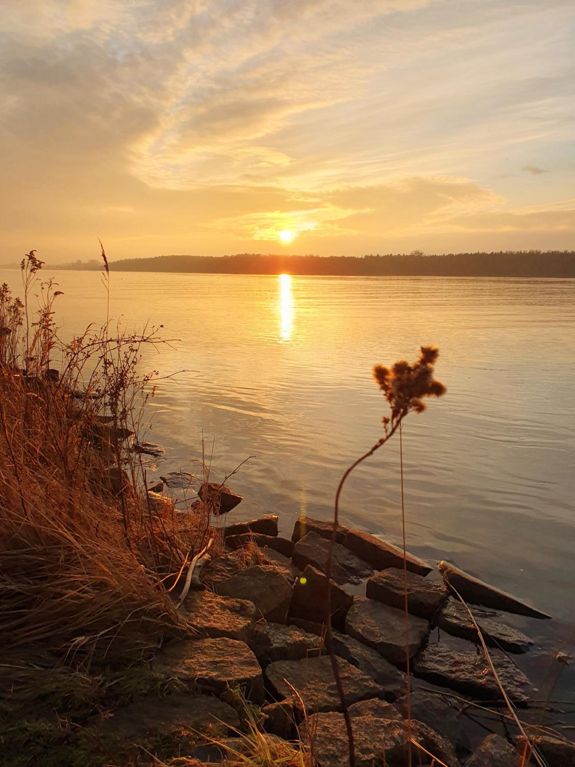 Photo 37