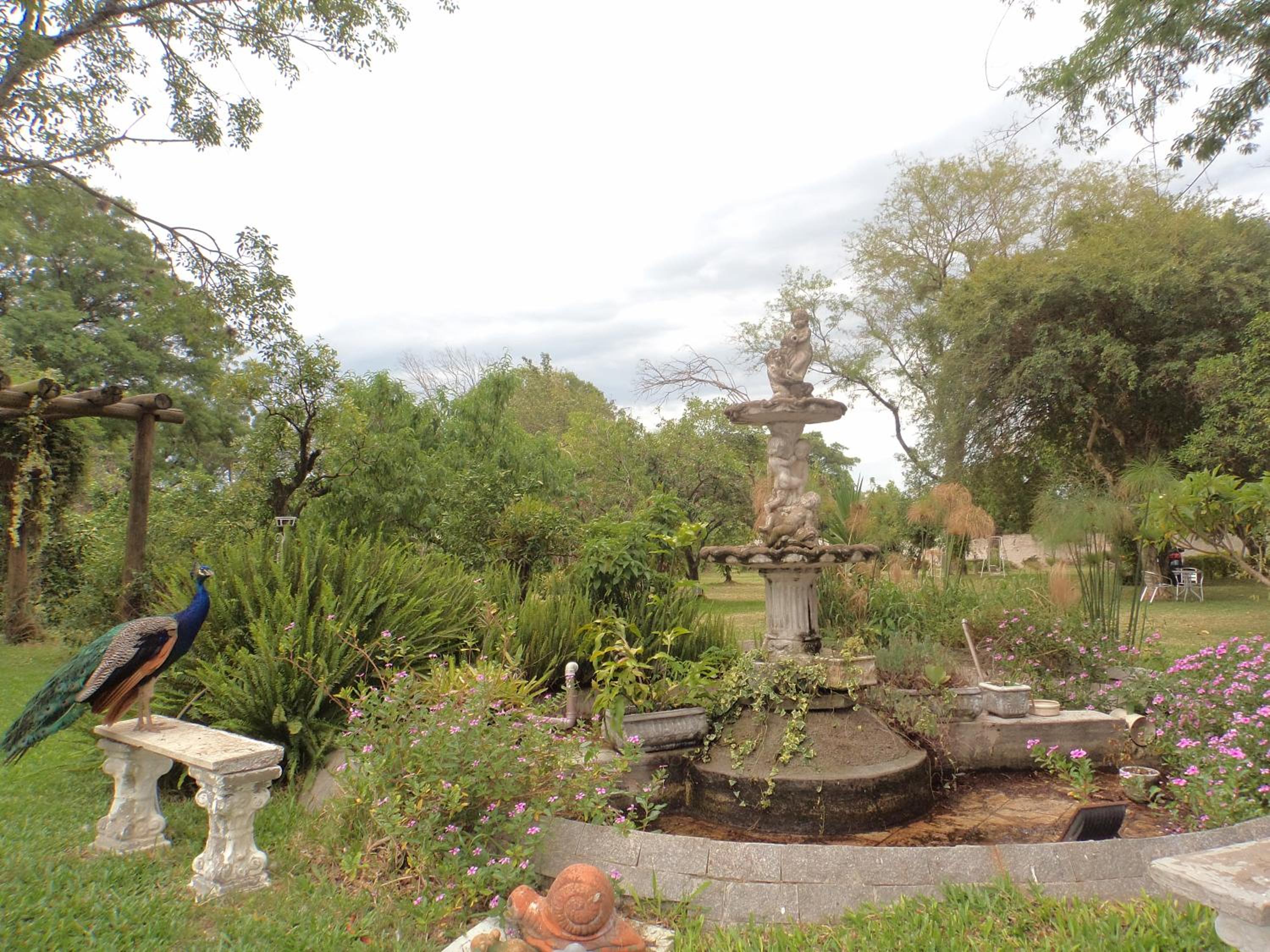Photo 14