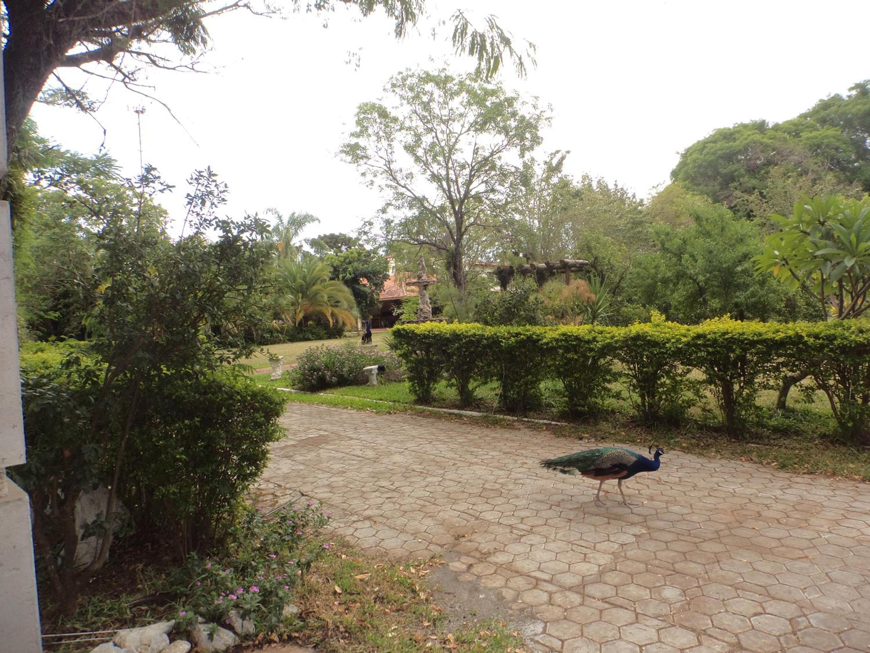 Photo 15