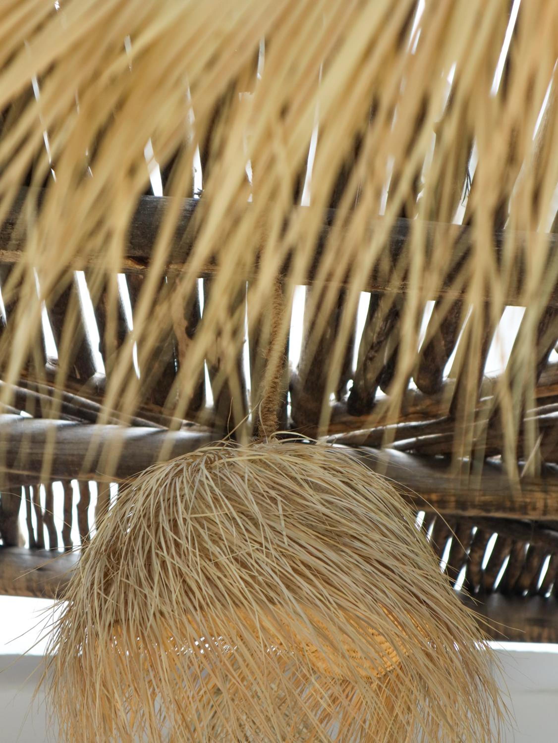 Photo 48