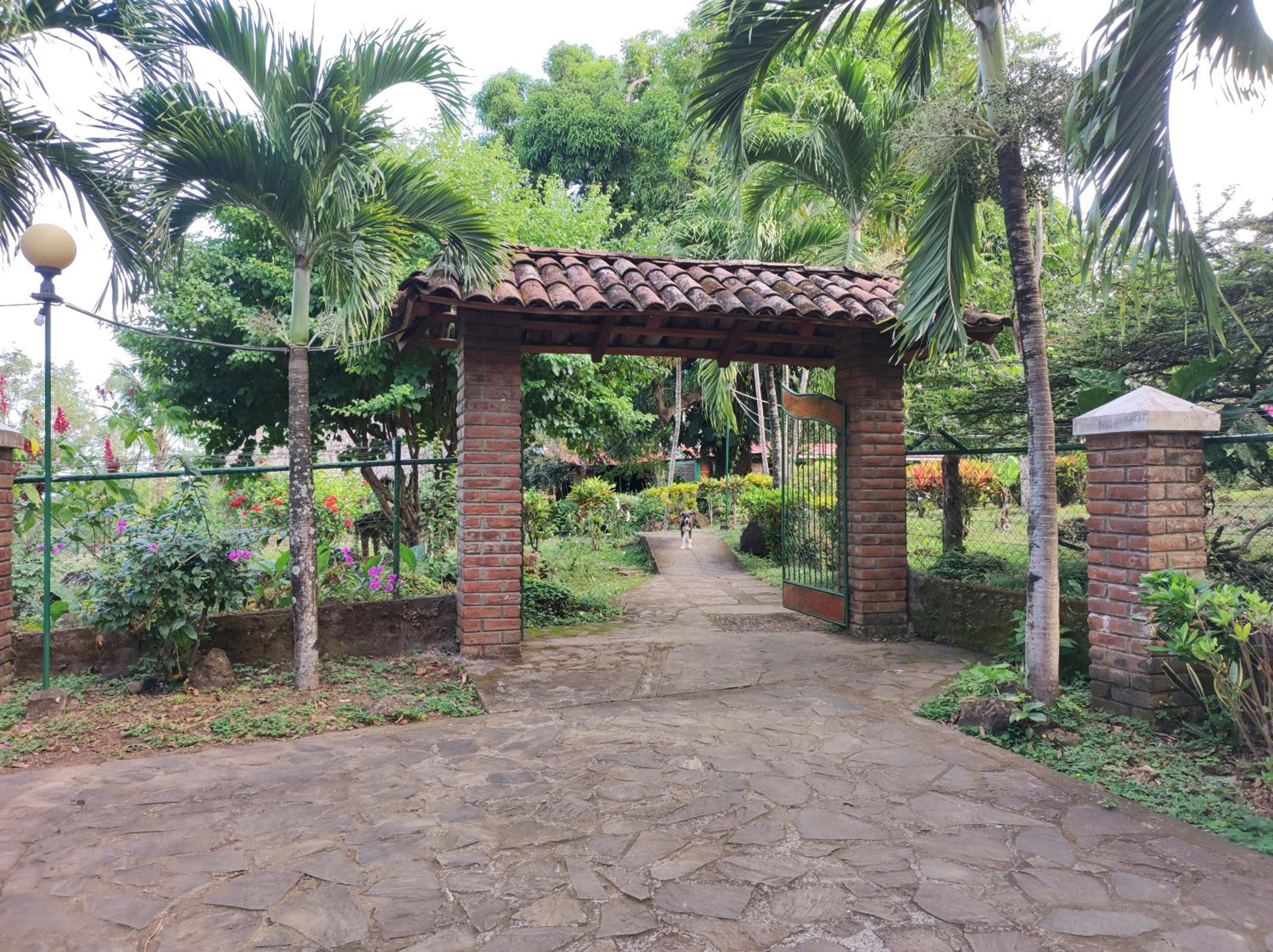 Photo 19