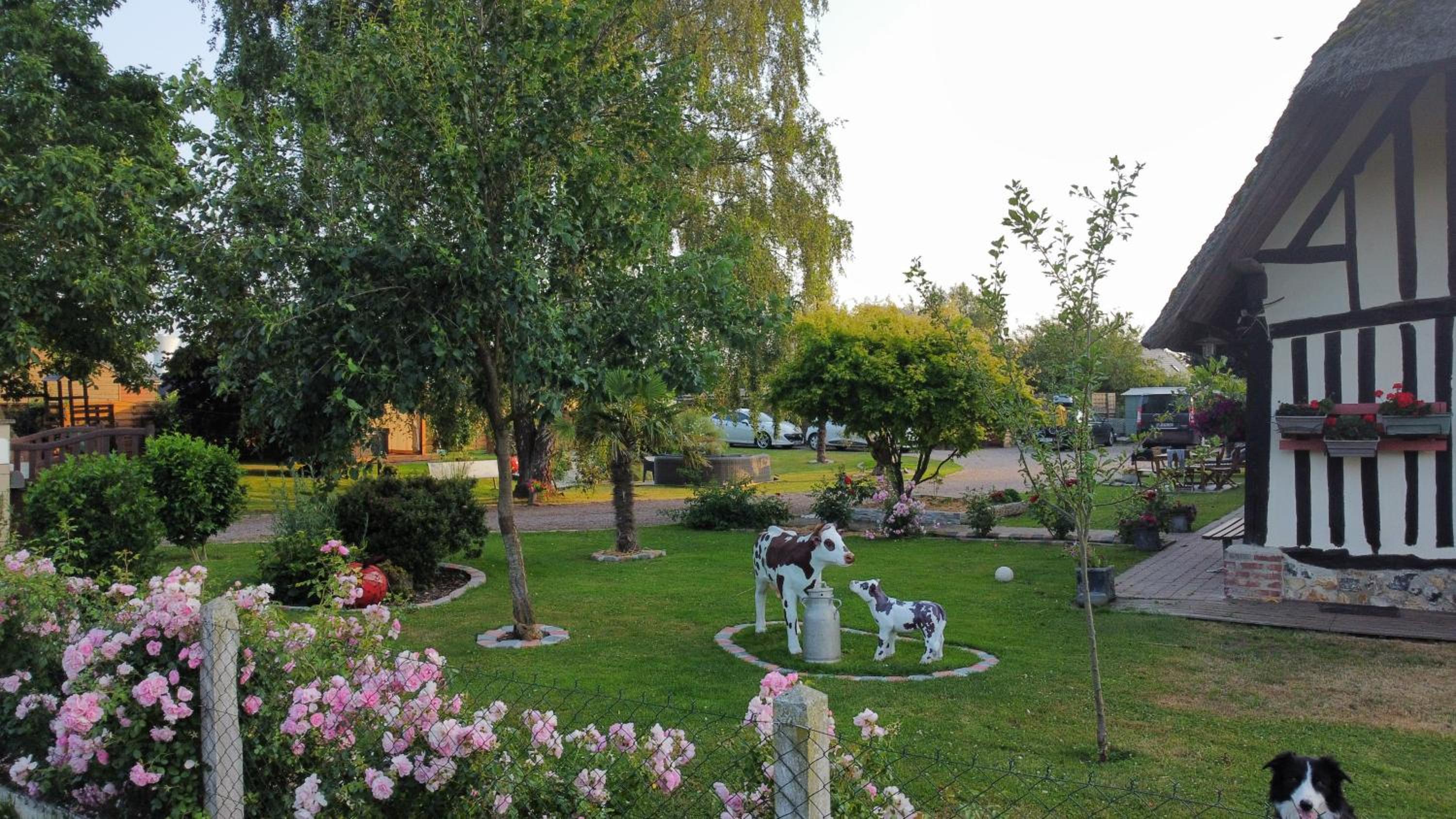 Photo 34
