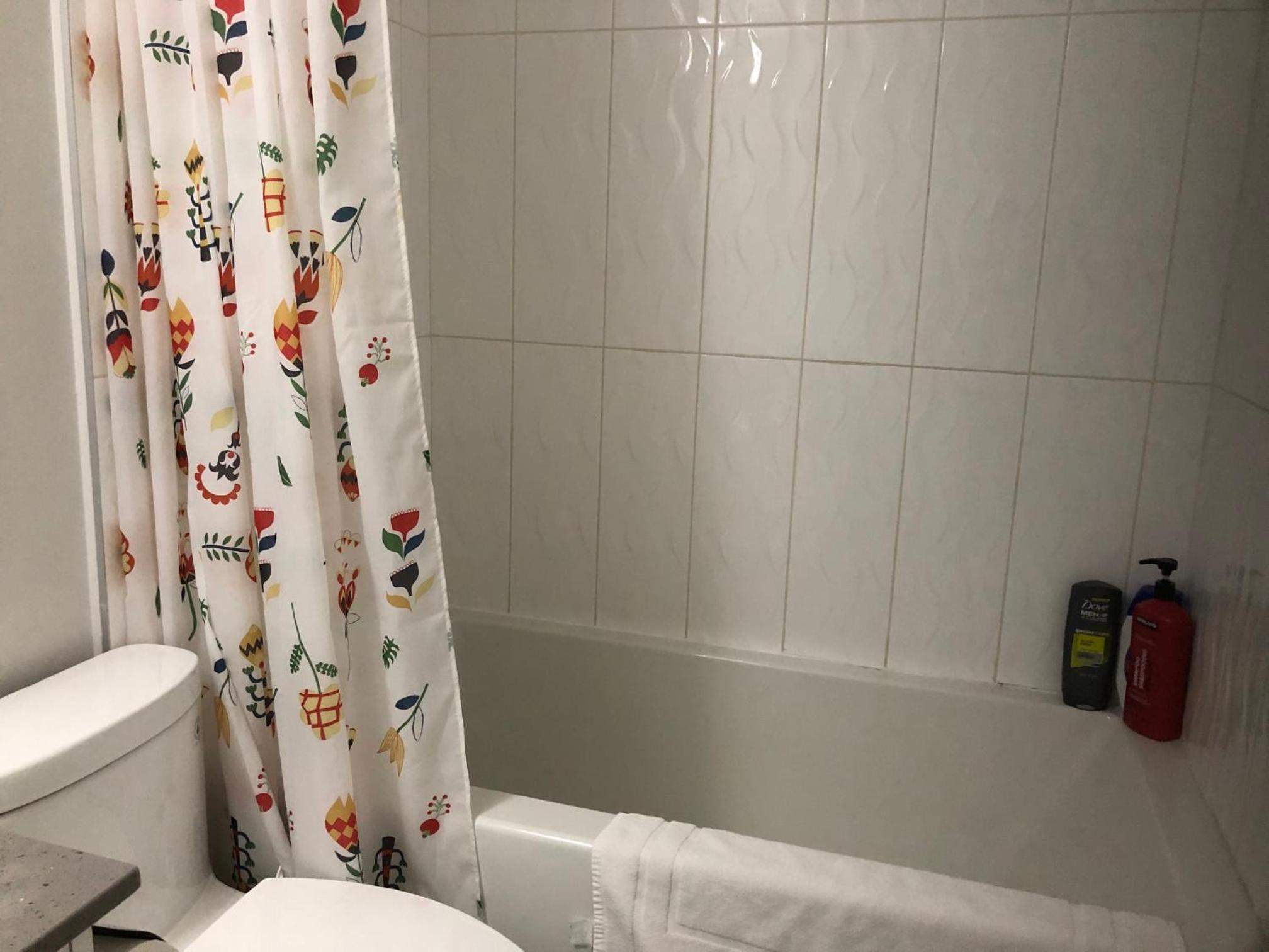 Amicable, Cozy, High Speed Internet, Sleeps 2 Riverview Downtown Apartment