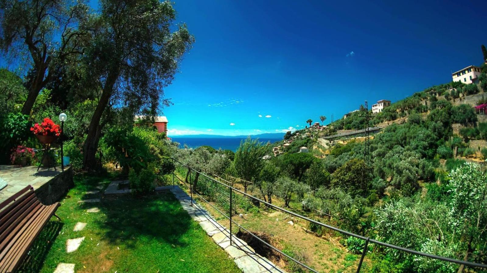 VILLINO BRUNETTO azienda agrituristica photo 3