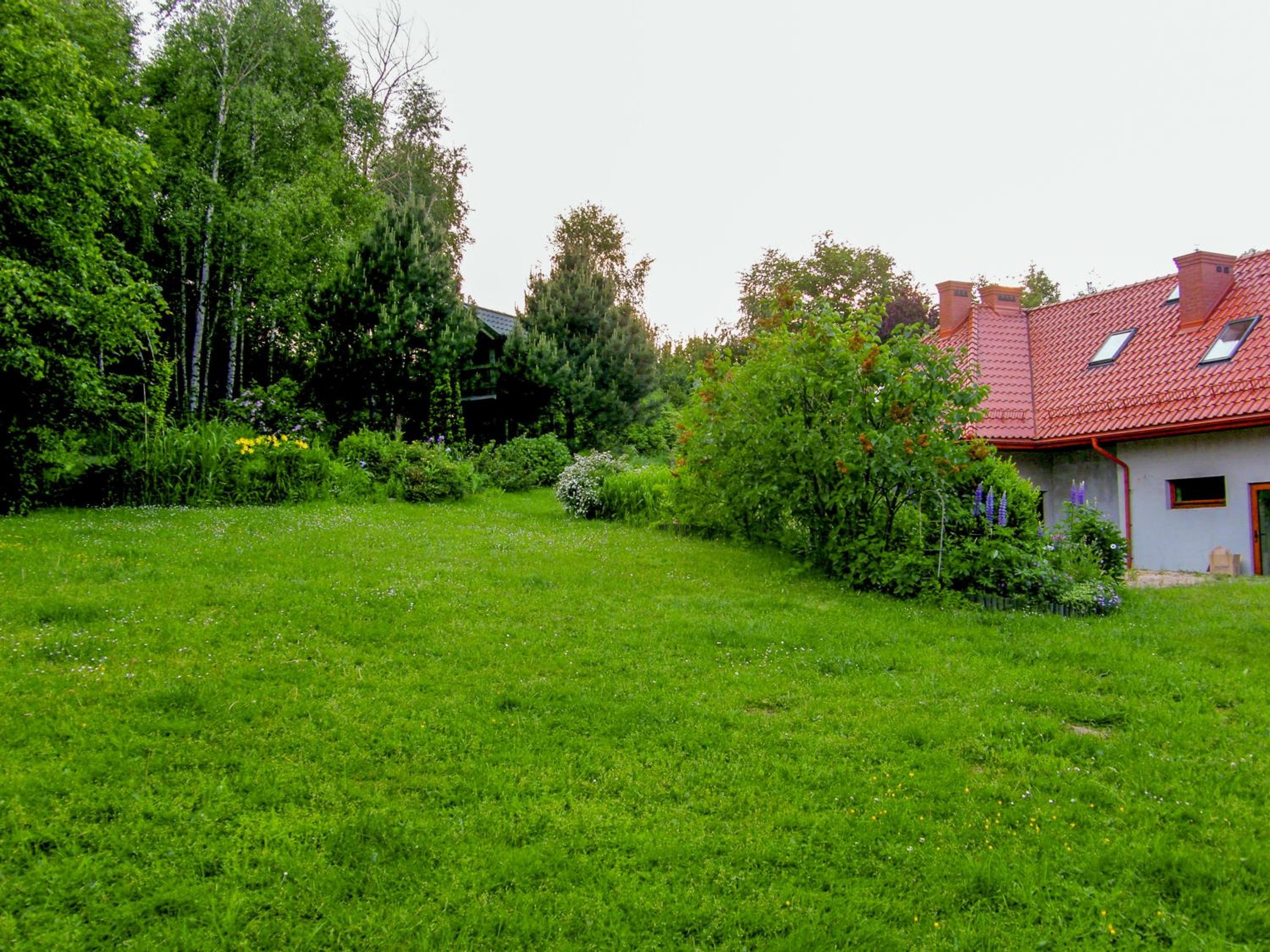 Photo 67