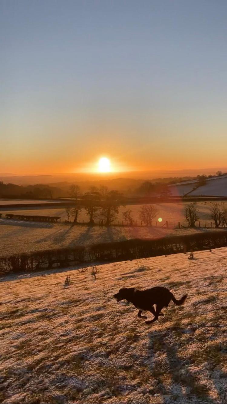 Cynynion Uchaf Farmhouse - 18th Century, Welsh Borders, Breathtaking Views