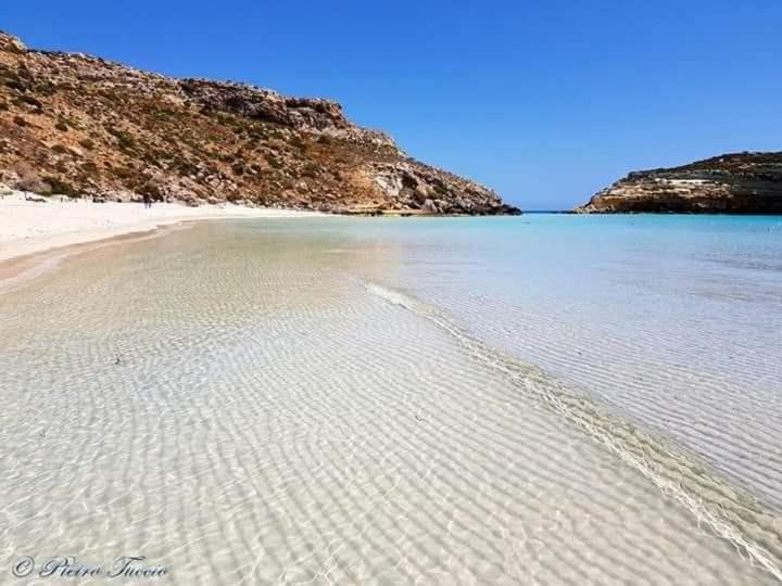 Élite Lampedusa photo 5