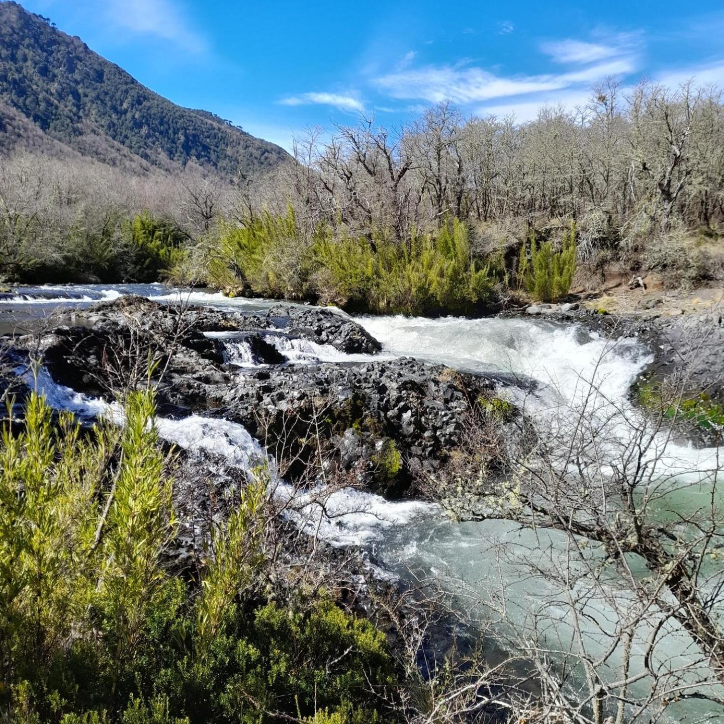 Los Cantos del Agua