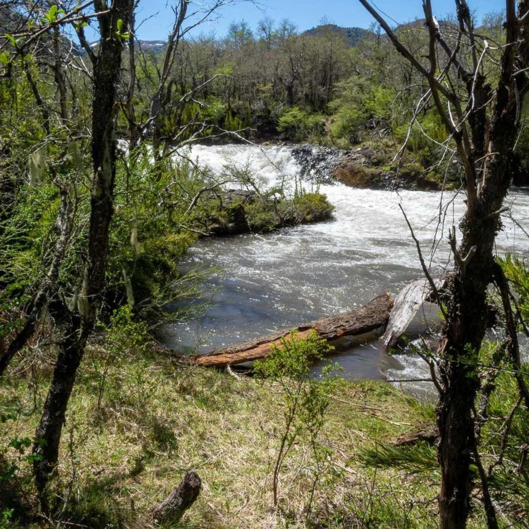 Los Cantos del Agua