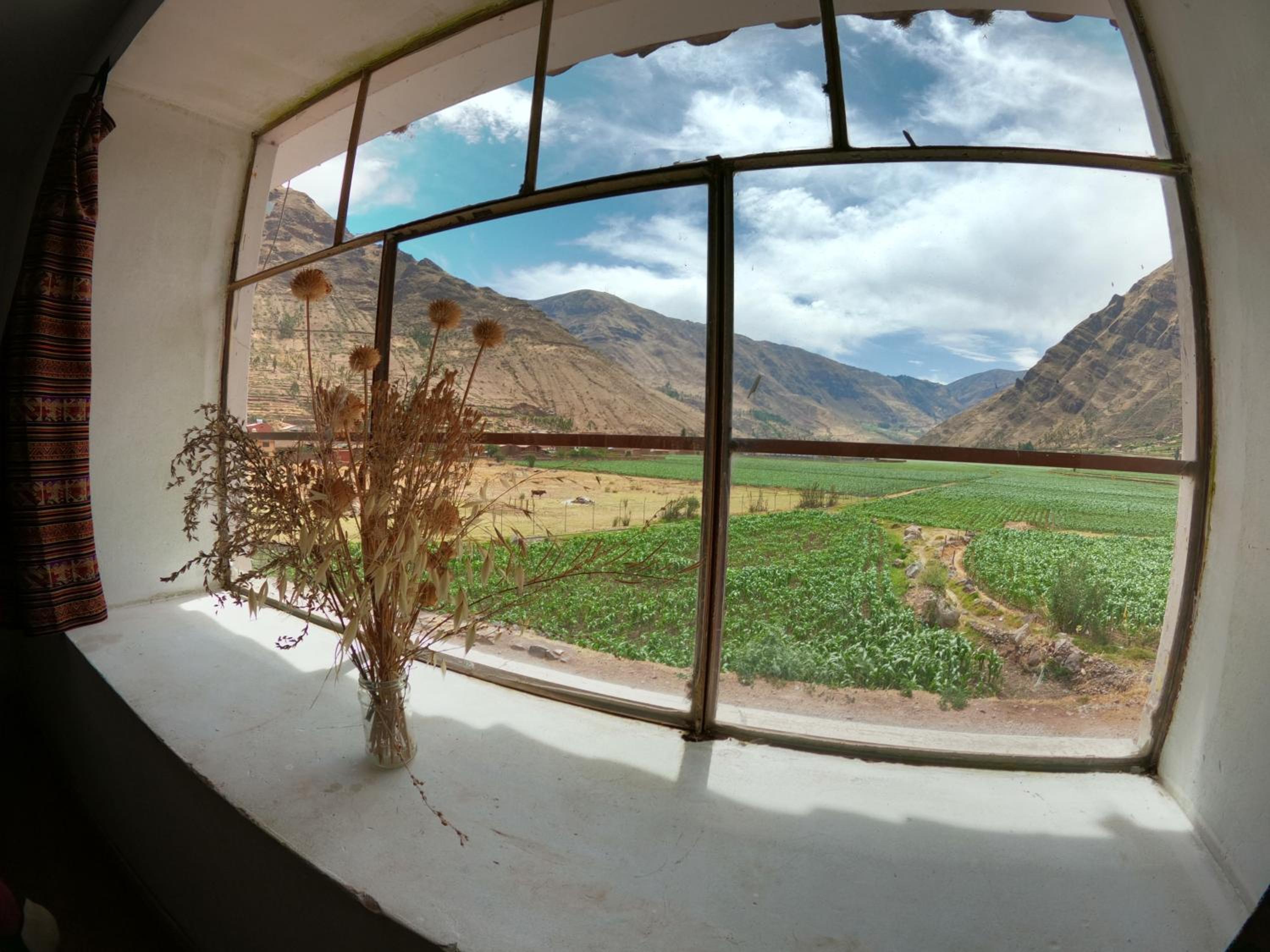 Photo 162