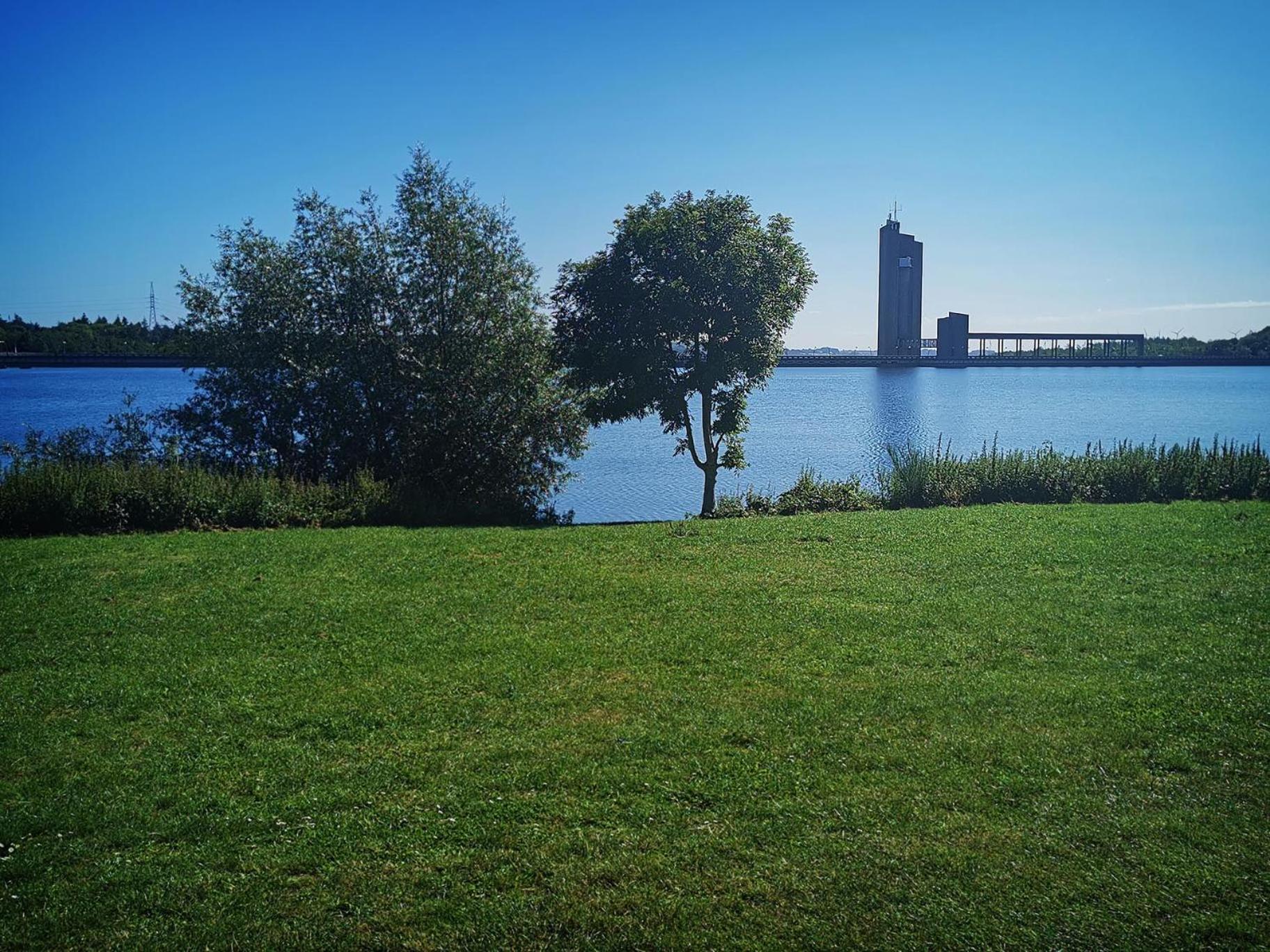 Photo 51
