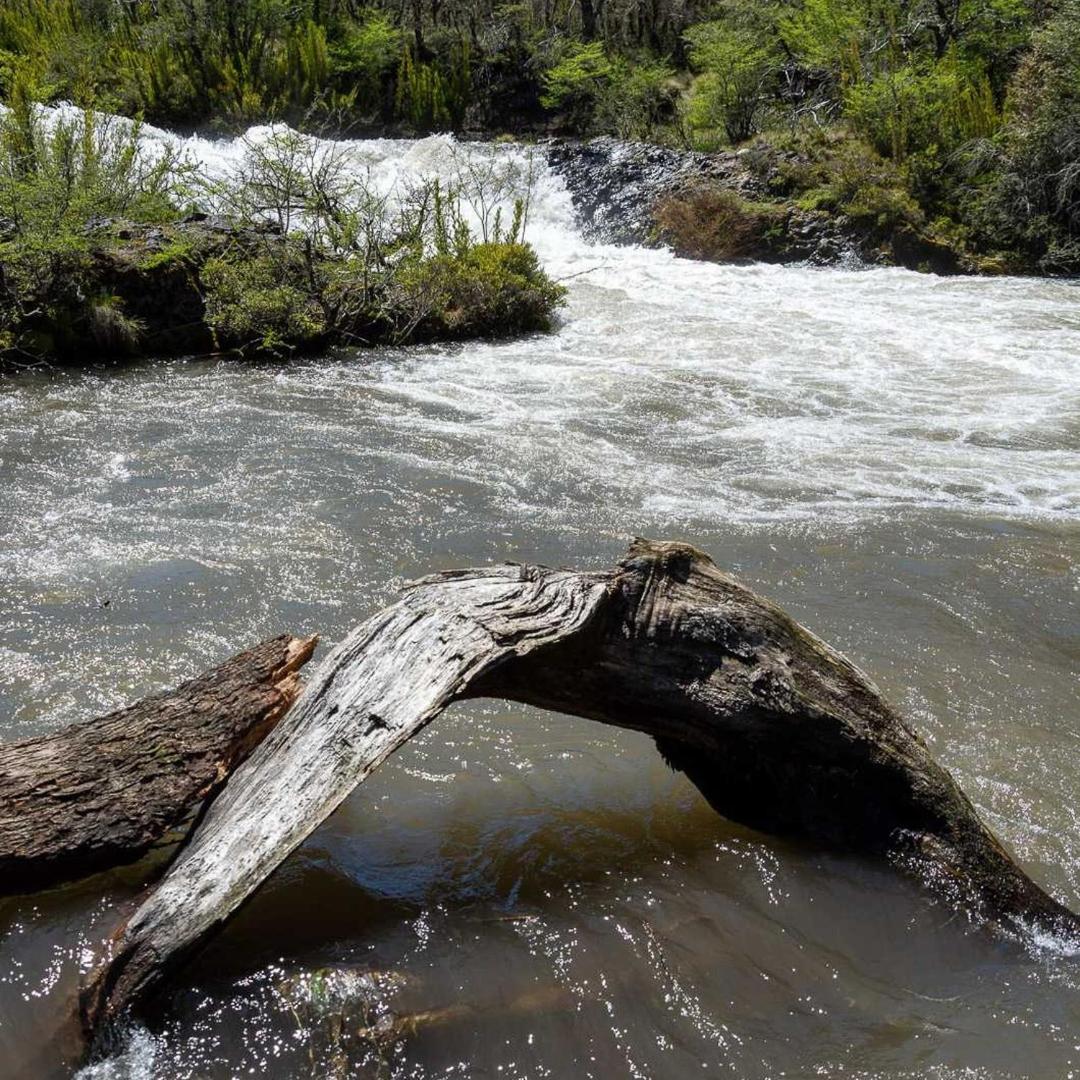 Los Cantos del Agua