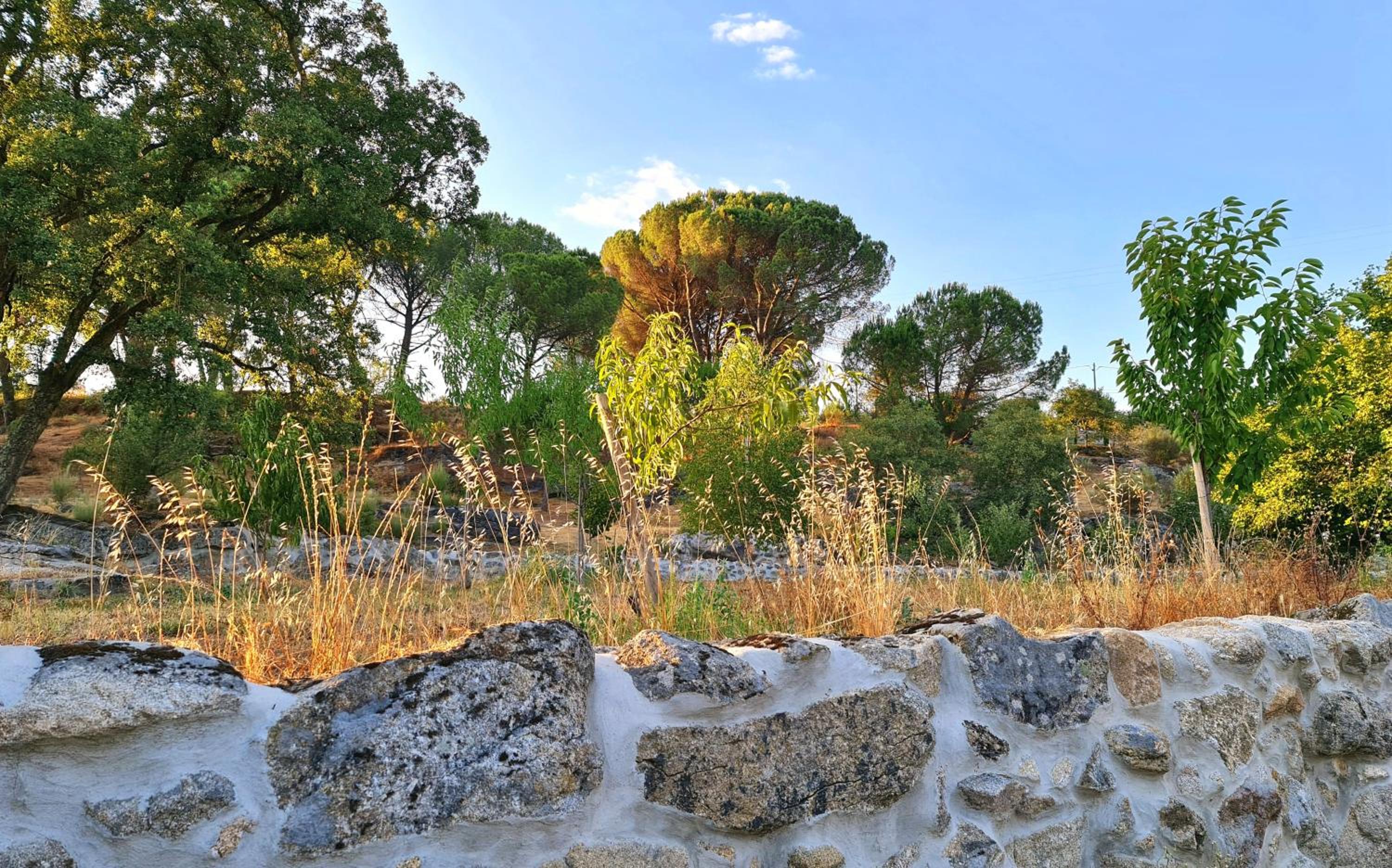 Photo 25
