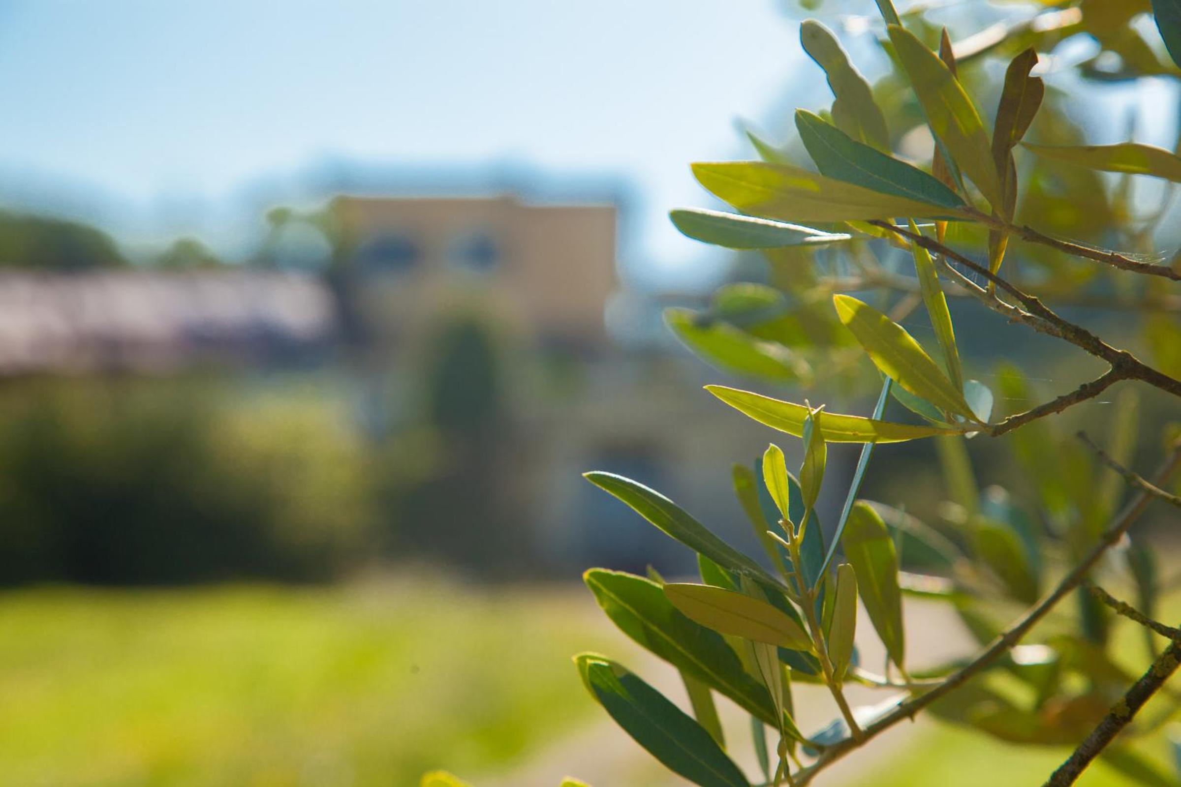 Agriturismo La Vecchia Fattoria