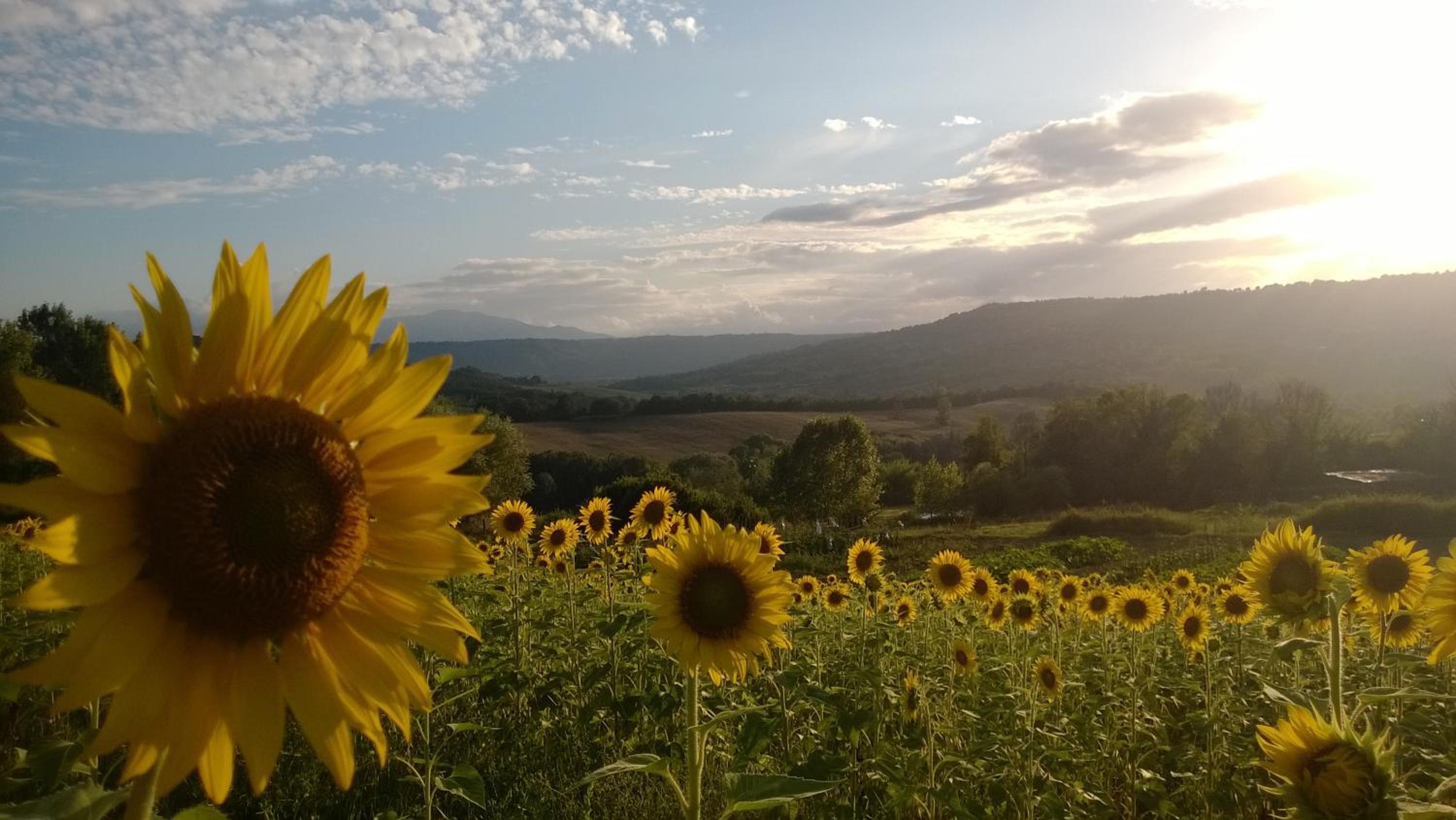 Agriturismo La Vecchia Fattoria