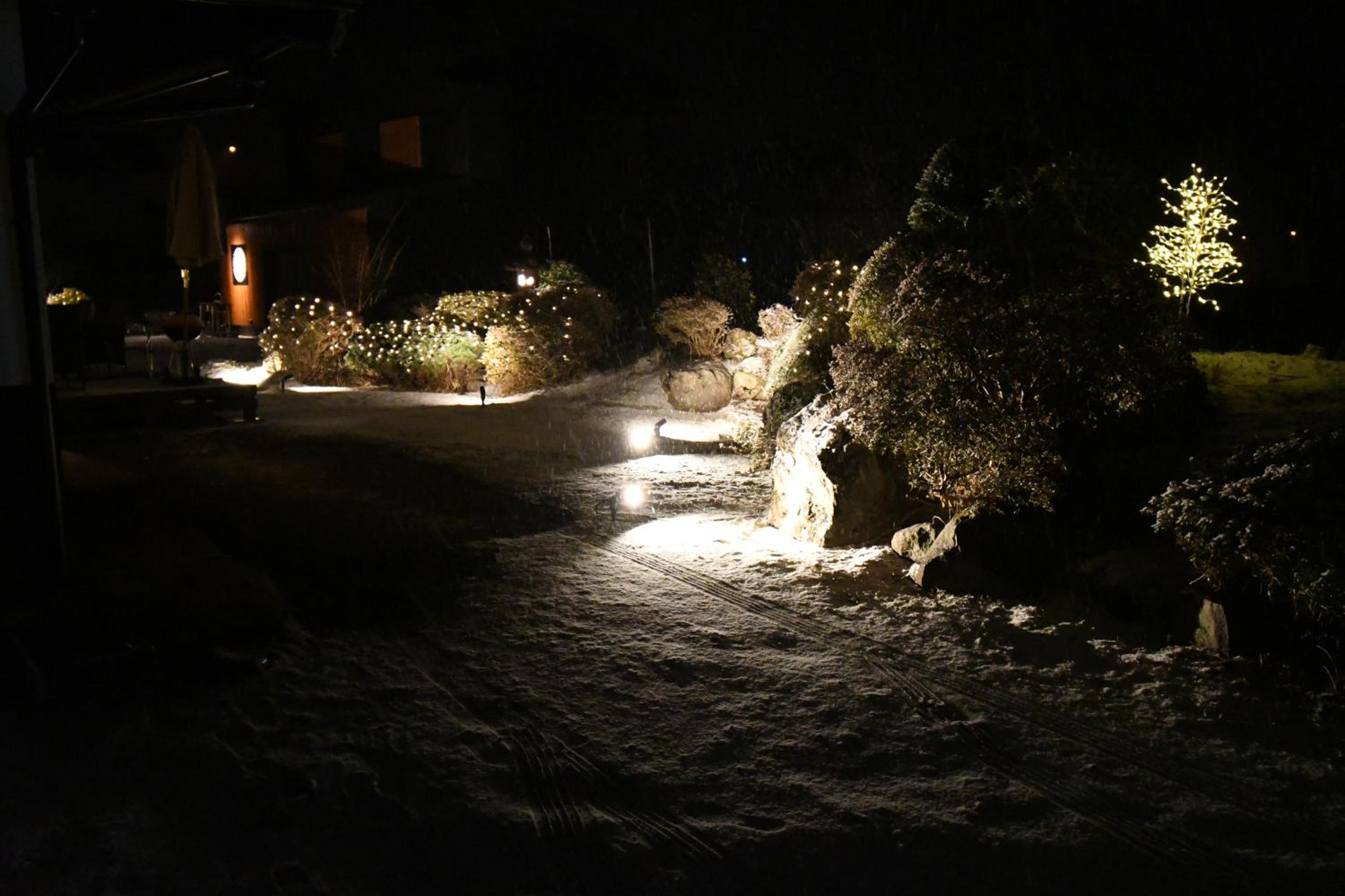 Photo 29