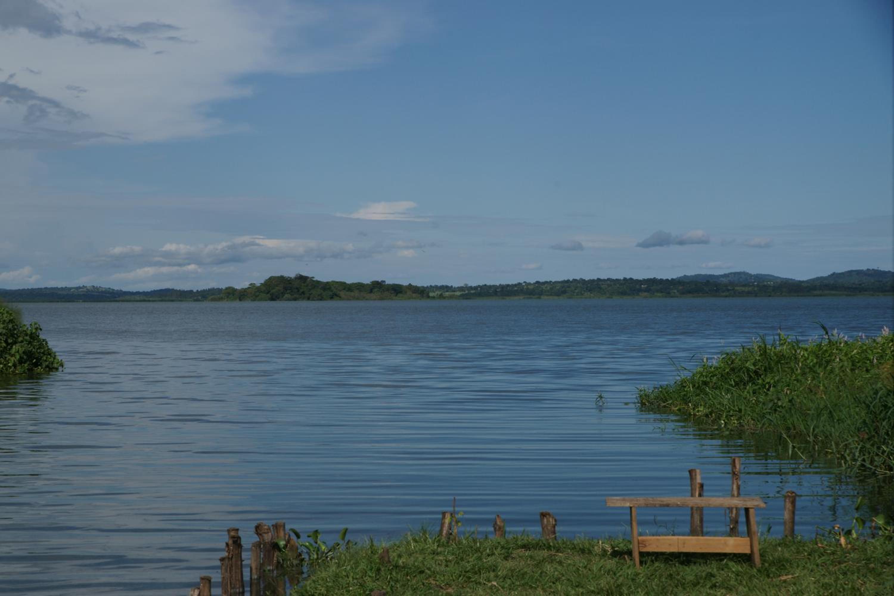 Yellow Haven Lodge